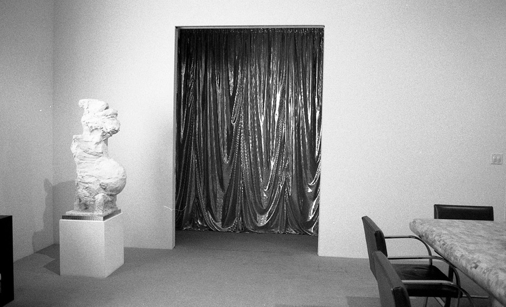 Counter work seven, Dallas Biennale