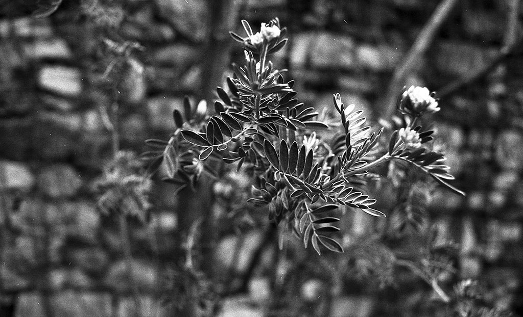morning noon and evening #1