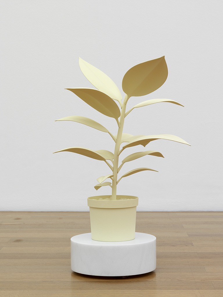 Lurking Sculpture (Rotating Rubber Plant)