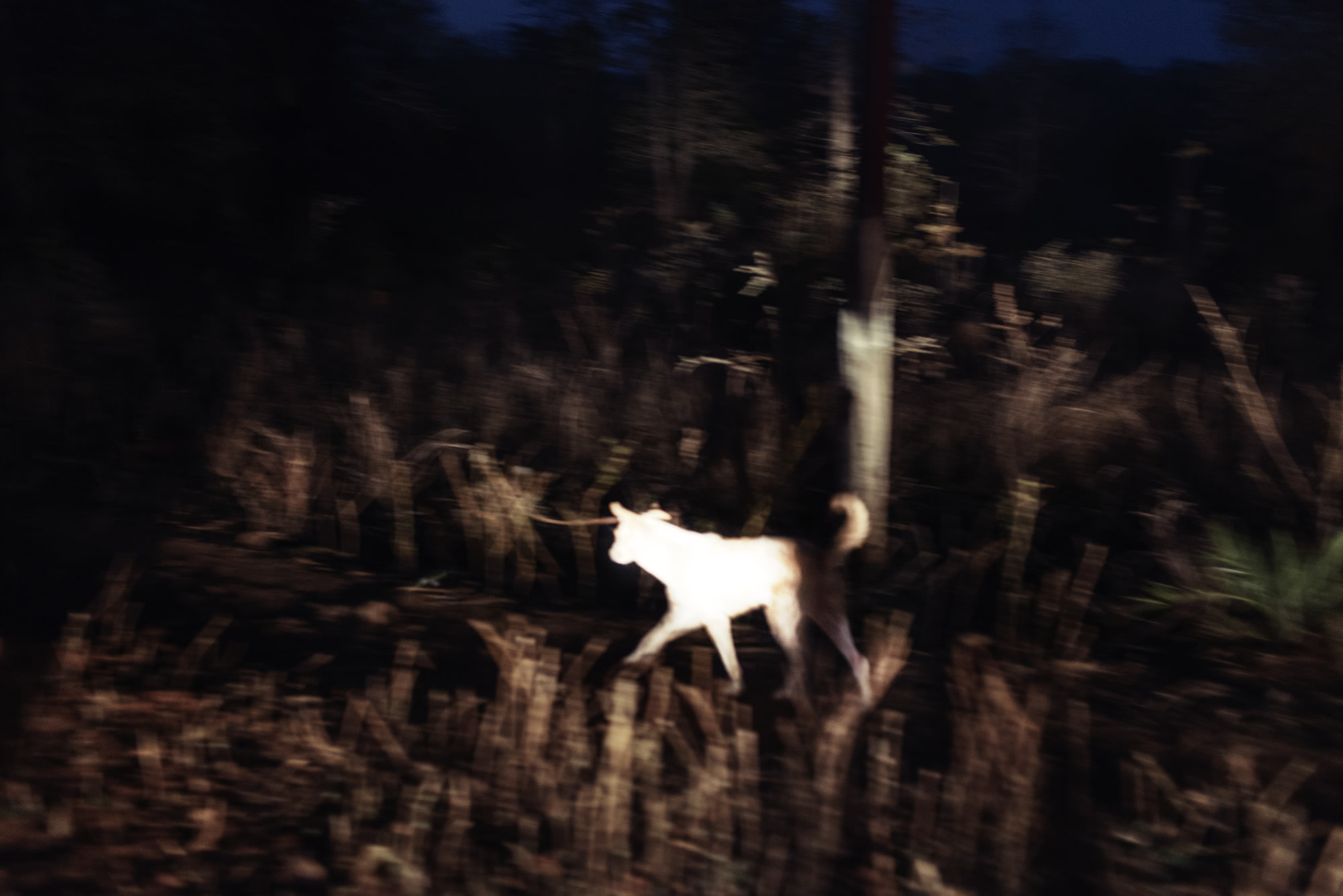From the series Centralia #3