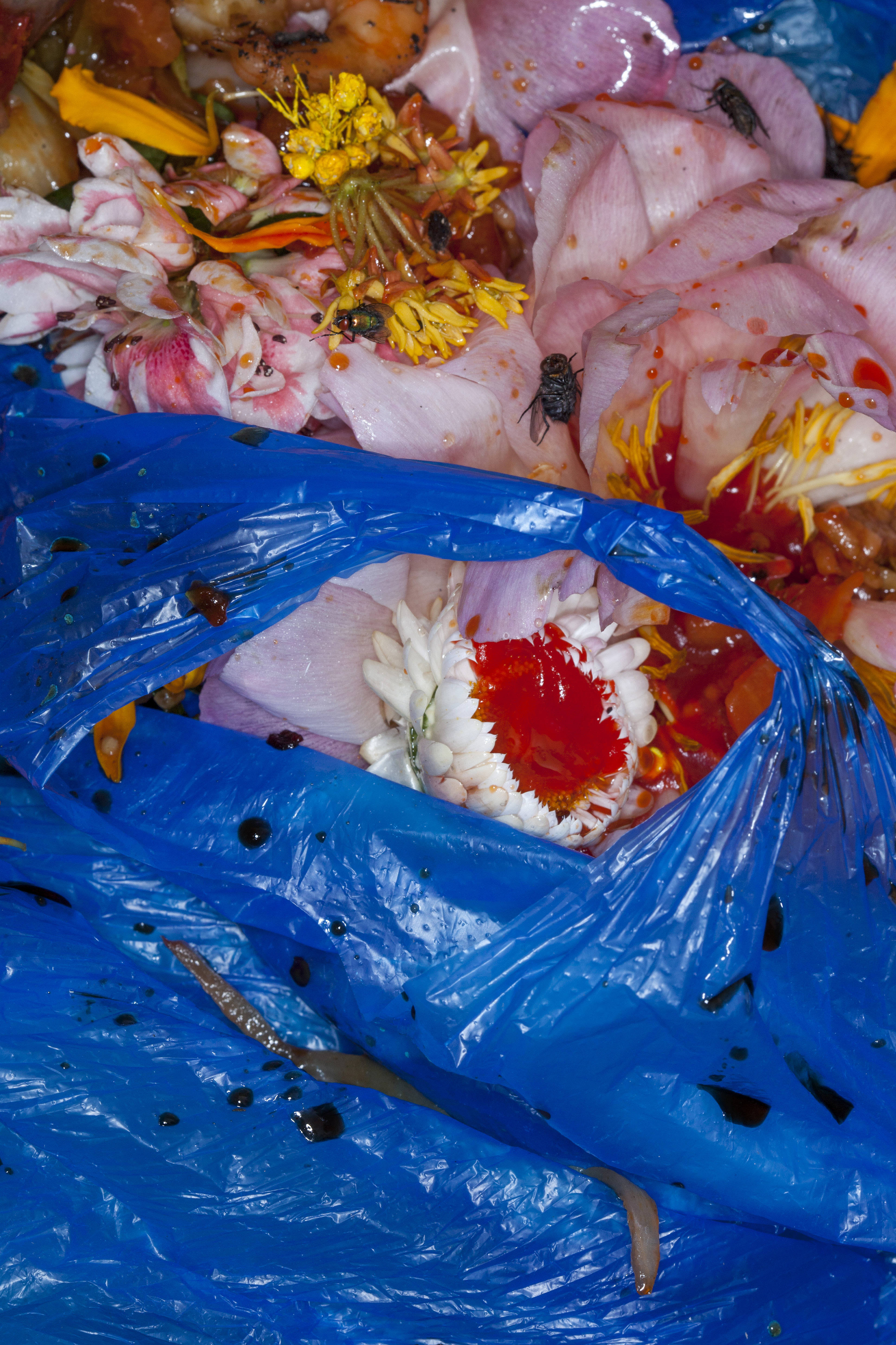 Rubbish 2
