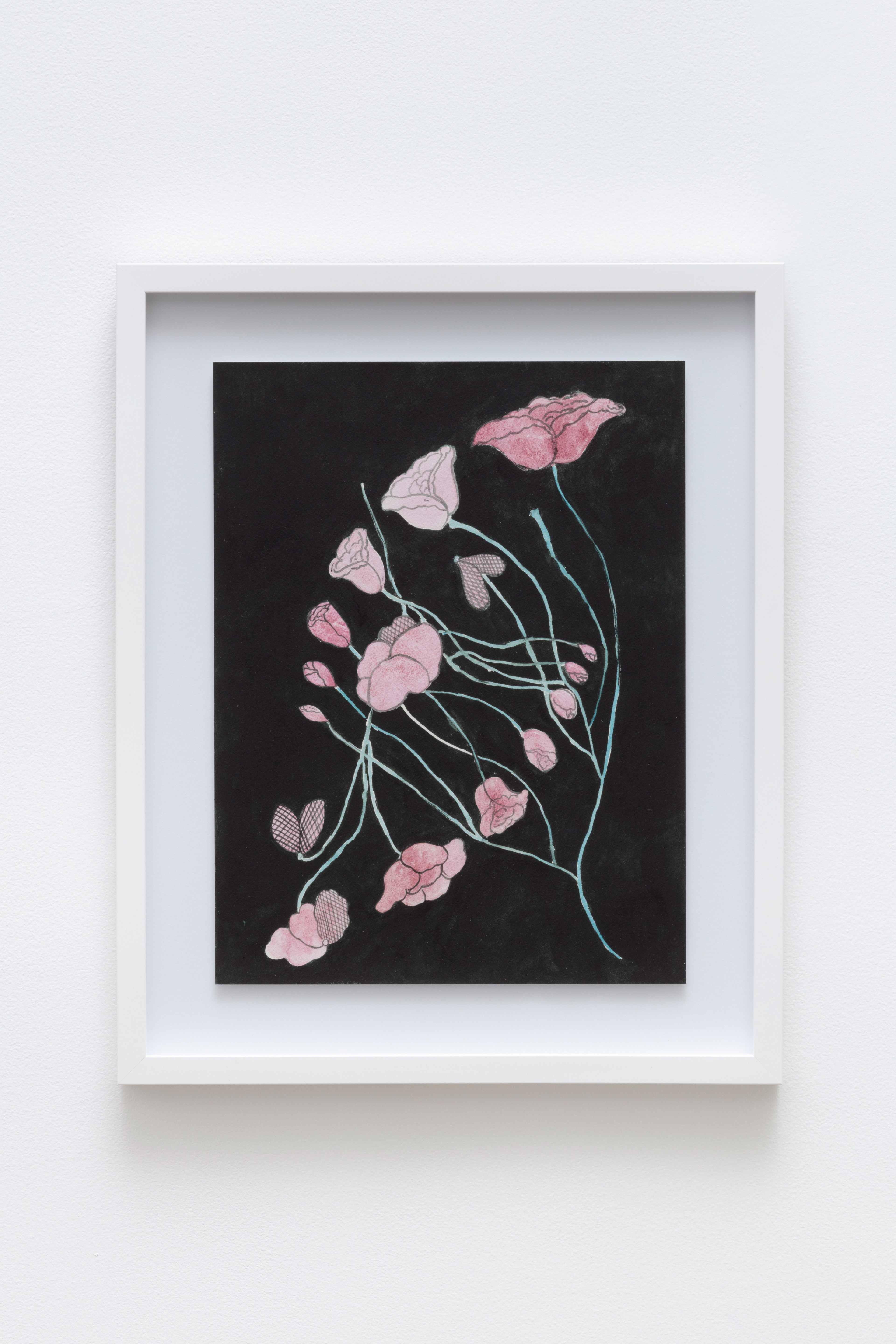 Roses in the states of budding, blooming, aging and dying