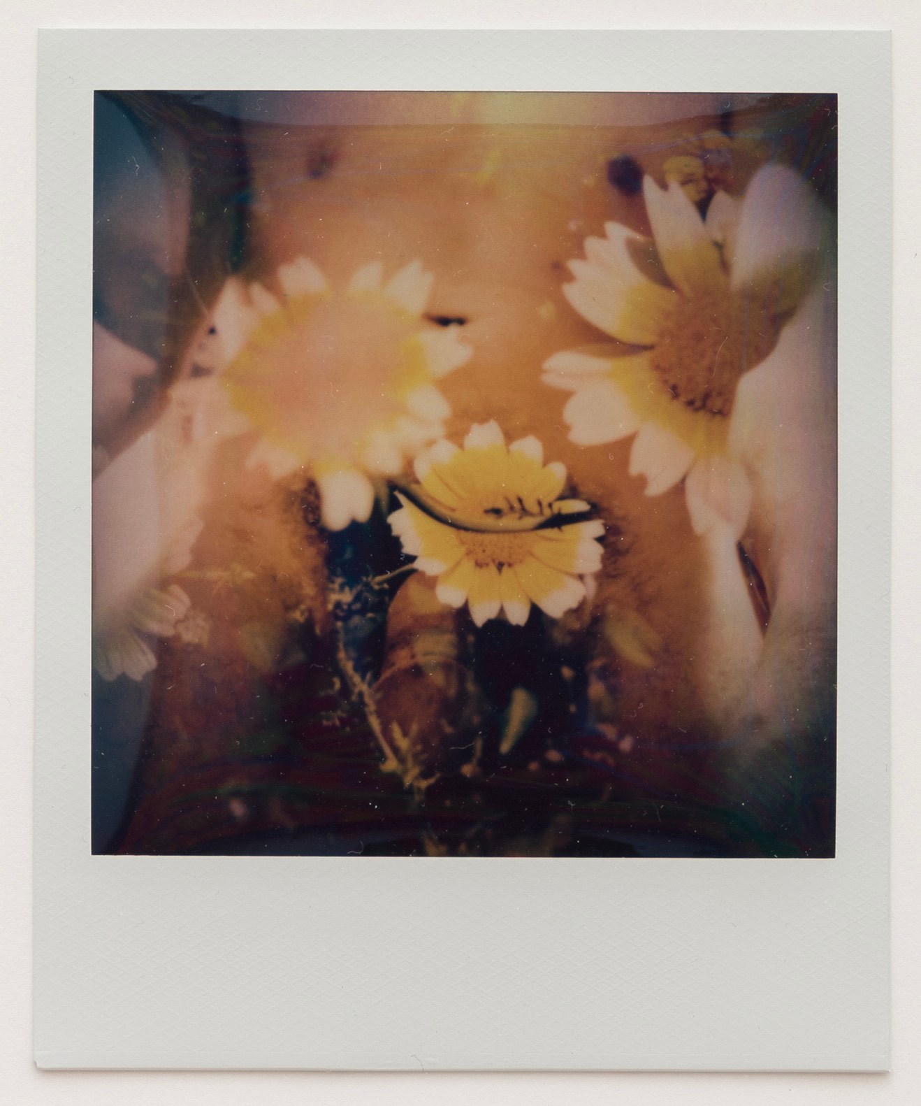 Untitled 10