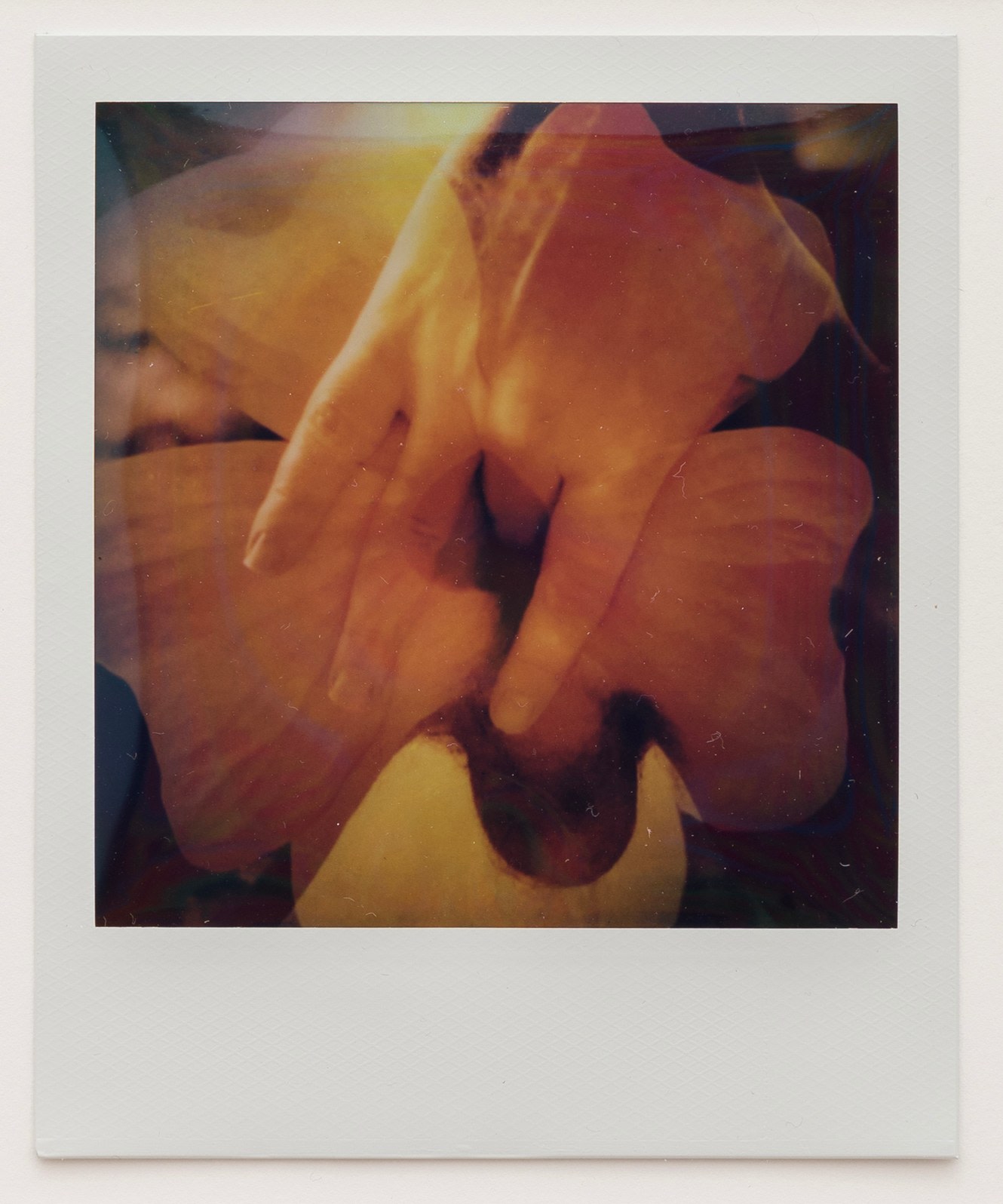 Untitled 7
