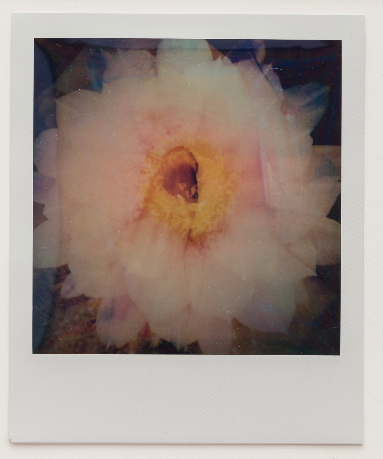 Untitled 9