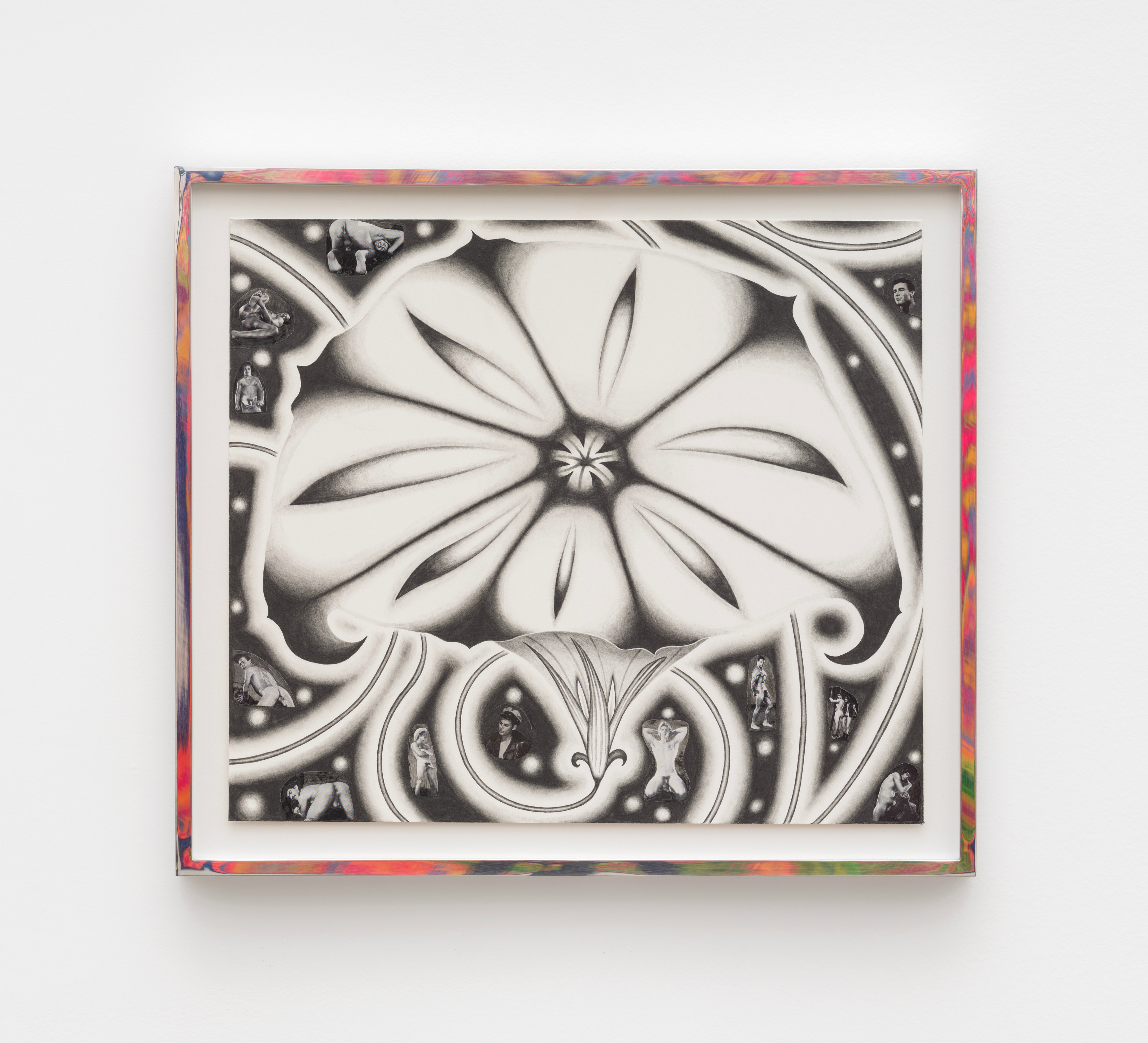 Untitled (Morning Glory)