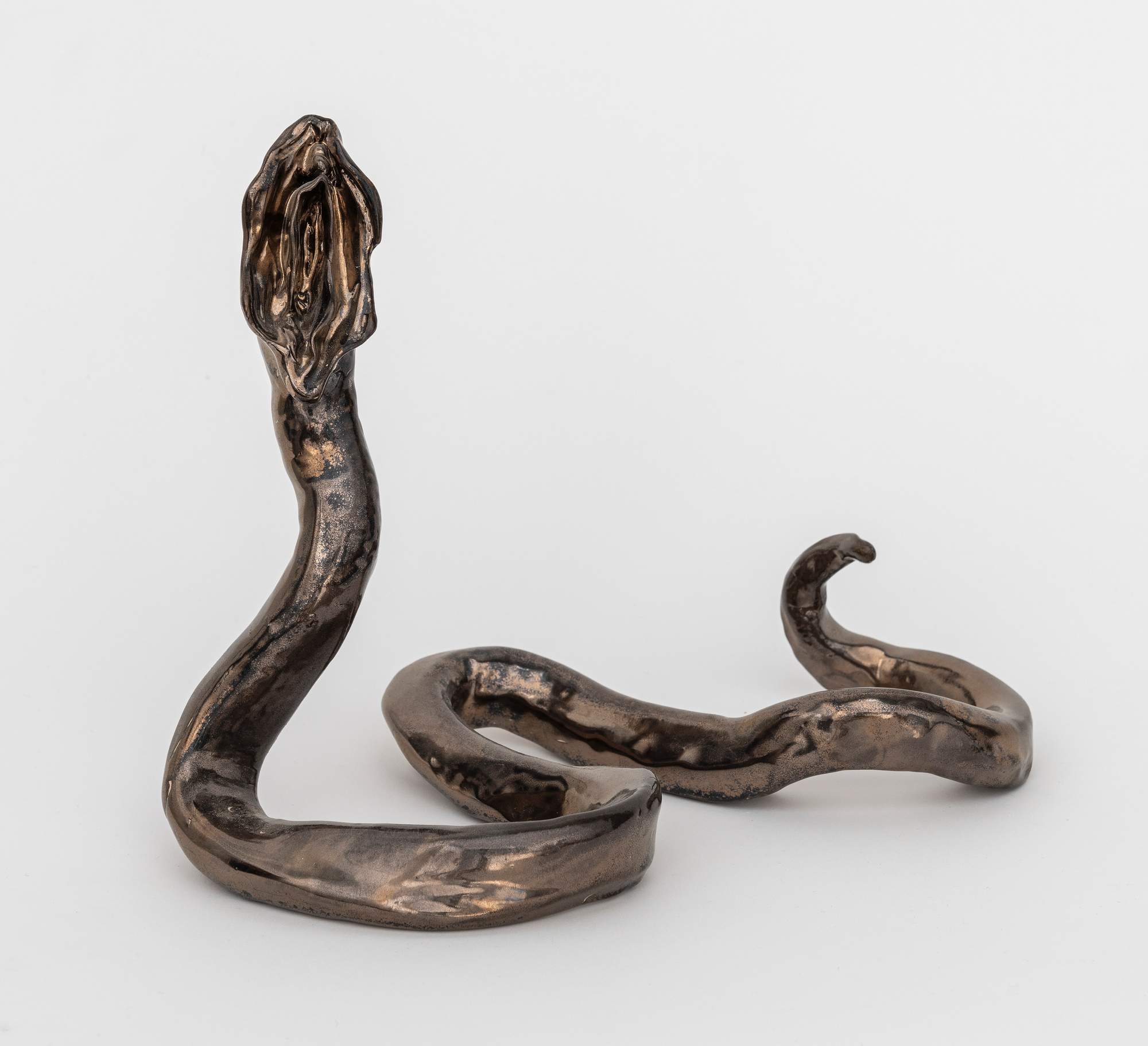 Mecanismo de Evidencia de la Evolución Genital : Female 18