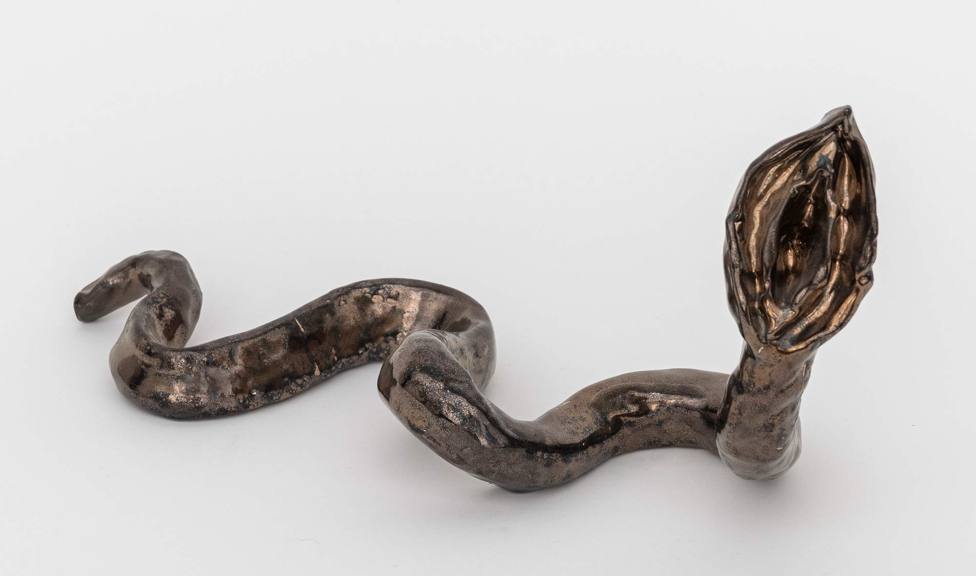 Mecanismo de Evidencia de la Evolución Genital : Female 13