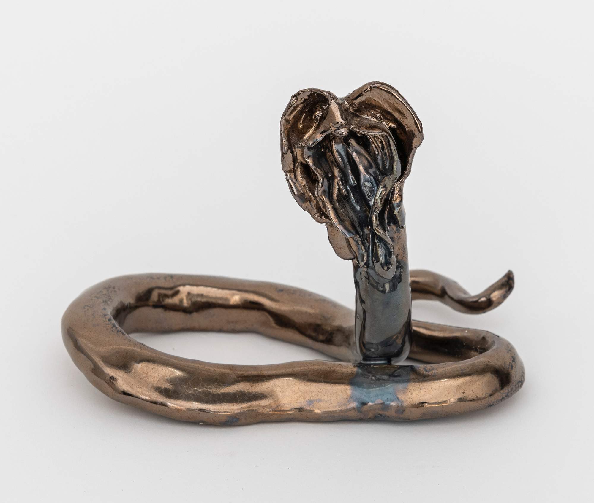 Mecanismo de Evidencia de la Evolución Genital : Female 9