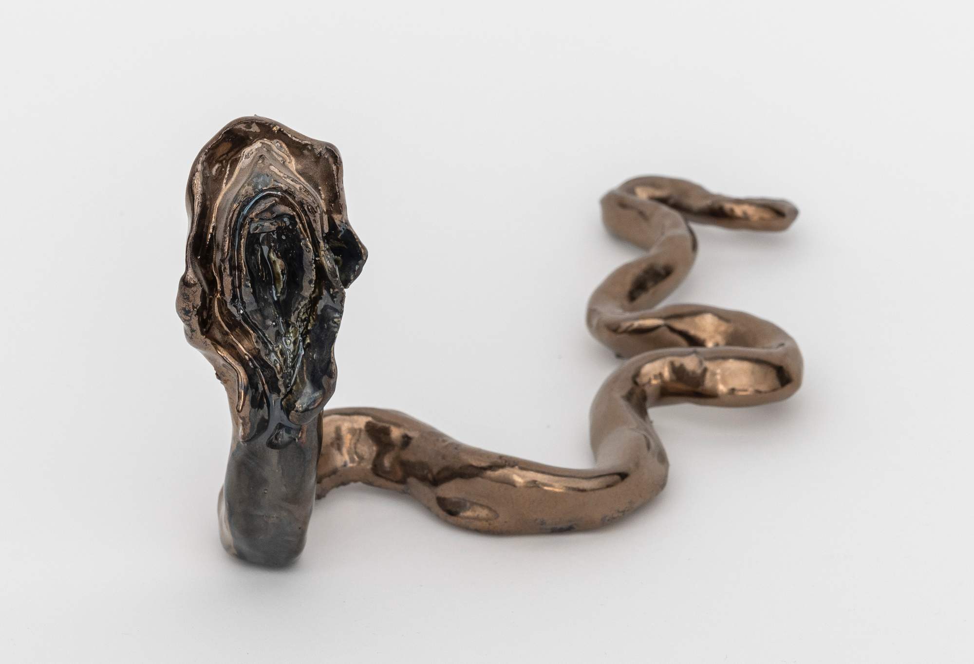 Mecanismo de Evidencia de la Evolución Genital : Female 4