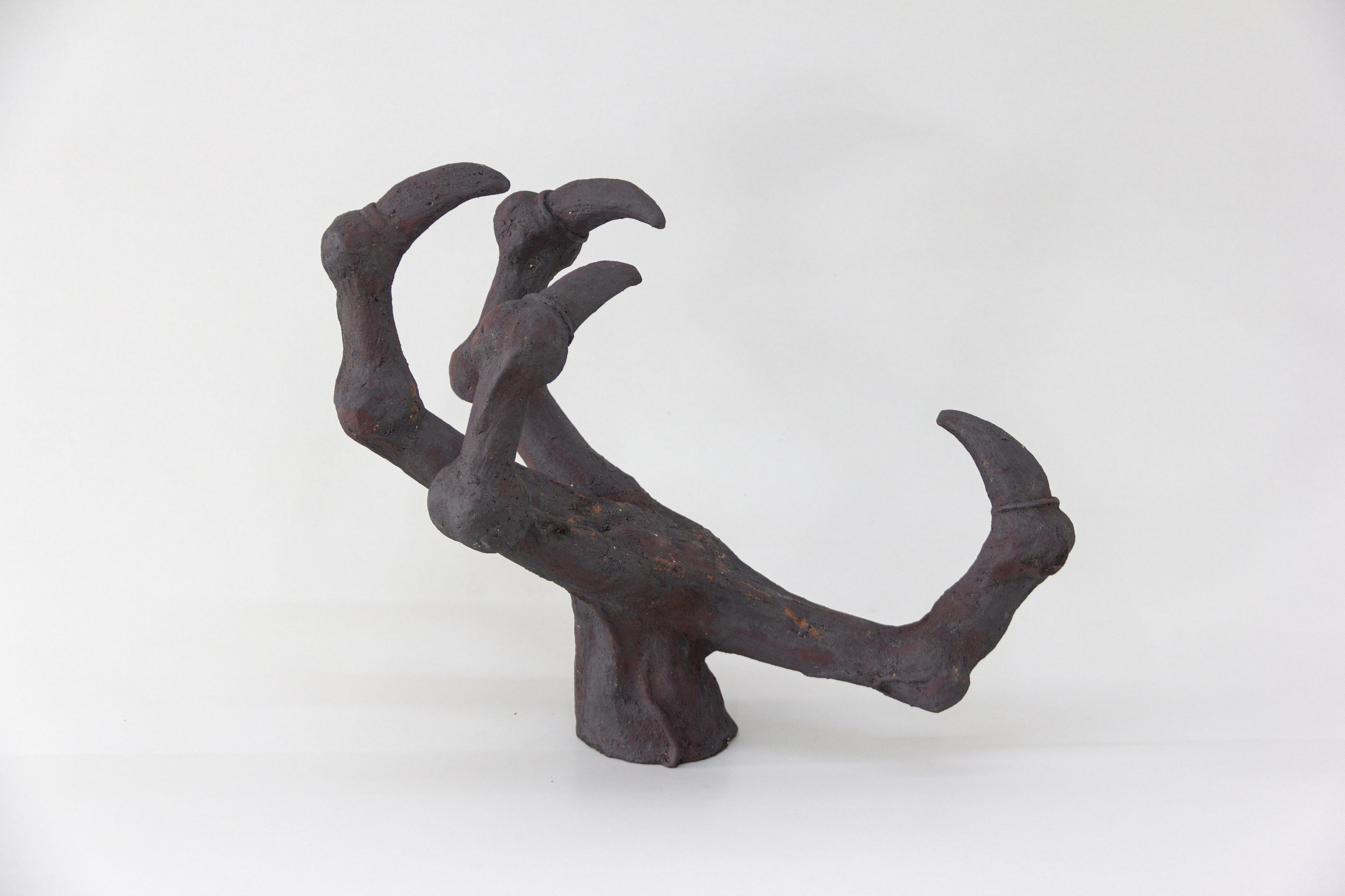 fig 37.11 sensoria