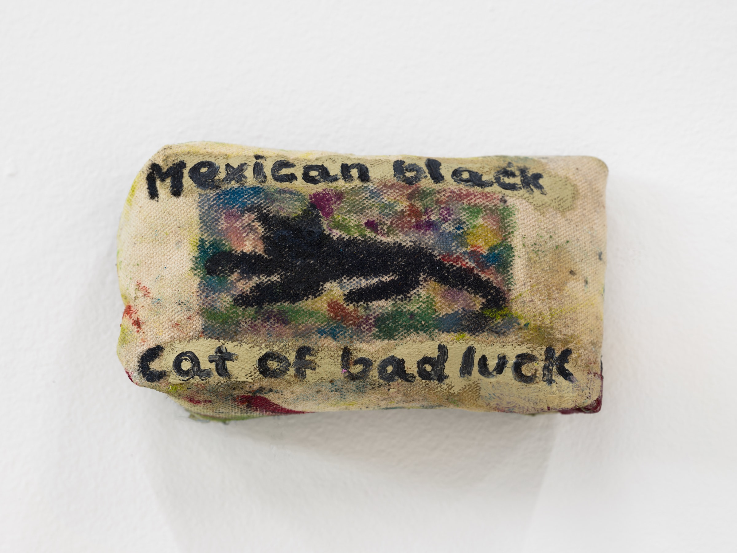 Mexican black cat of bad luck