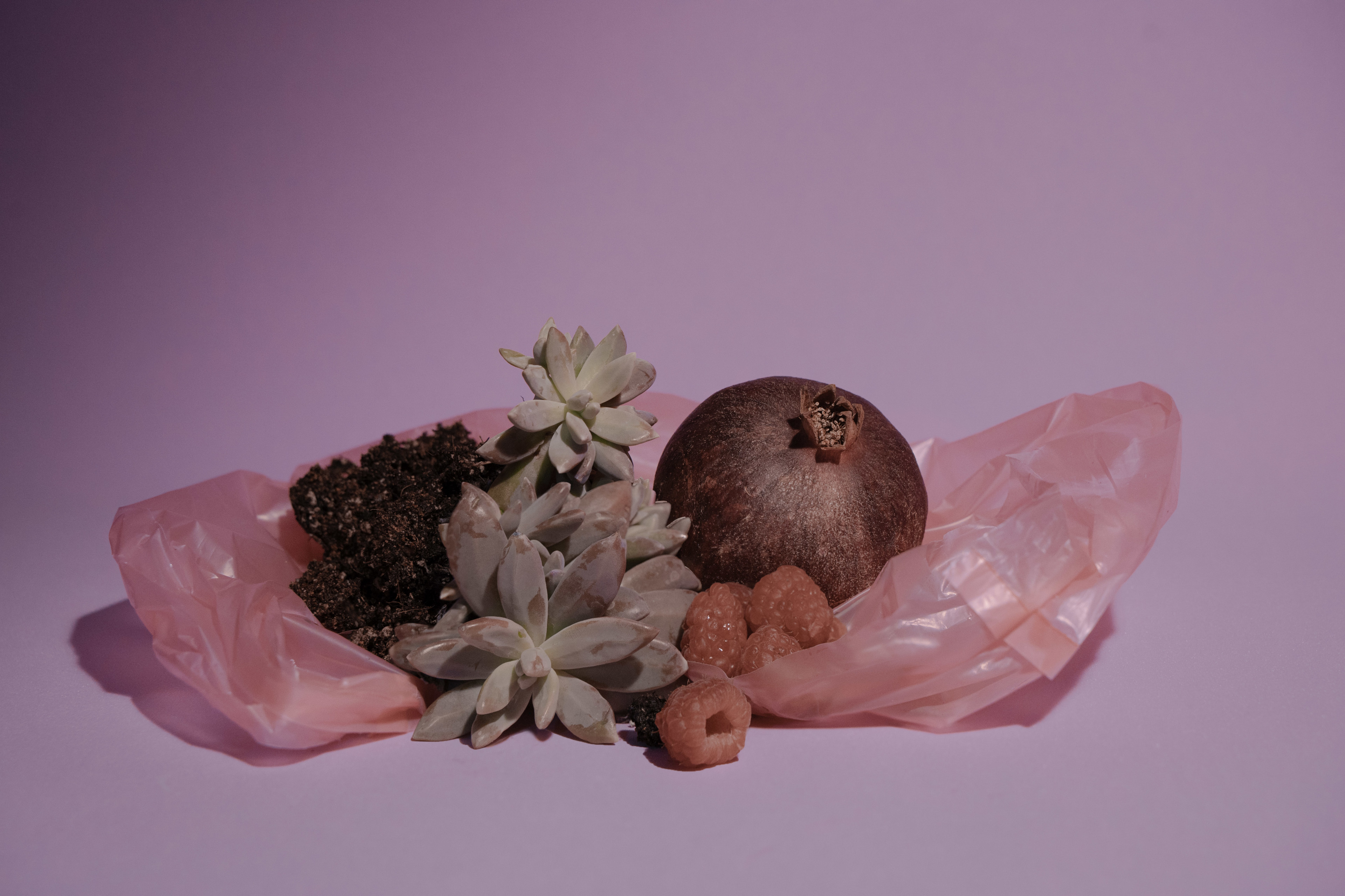 Untitled, from the series "El color prehistórico