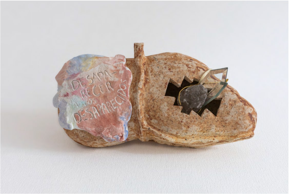 Crystals in the liver of power