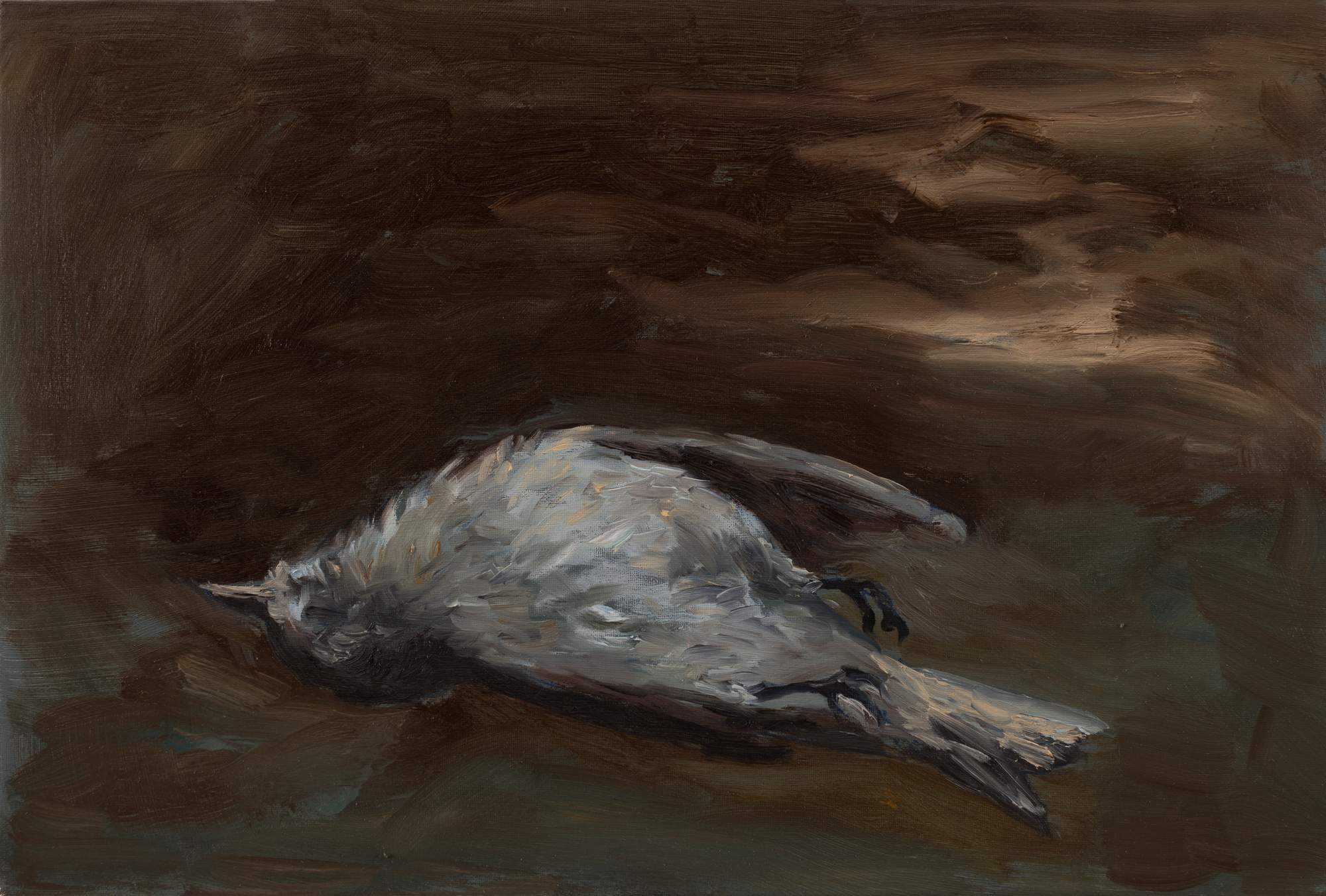 Polinizadores dormidos #6