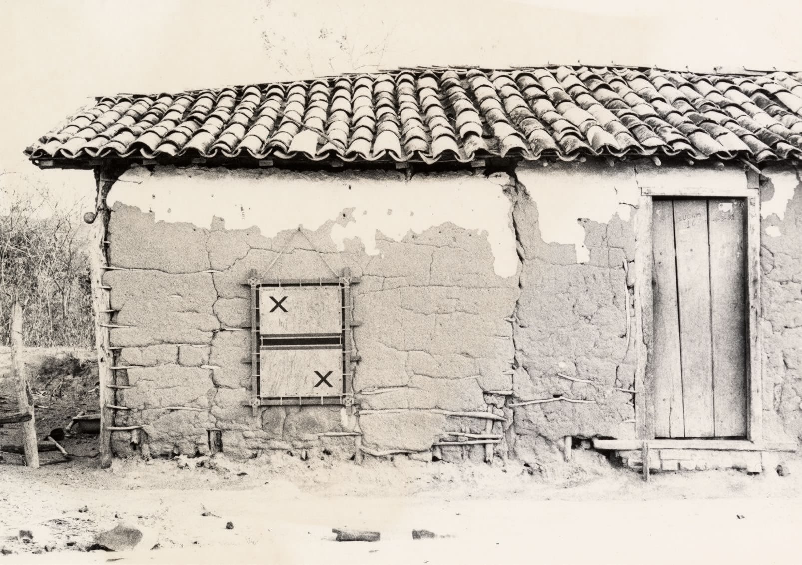 Terra VI (Jericó - São Gonçalo dos Campos - Bahia)