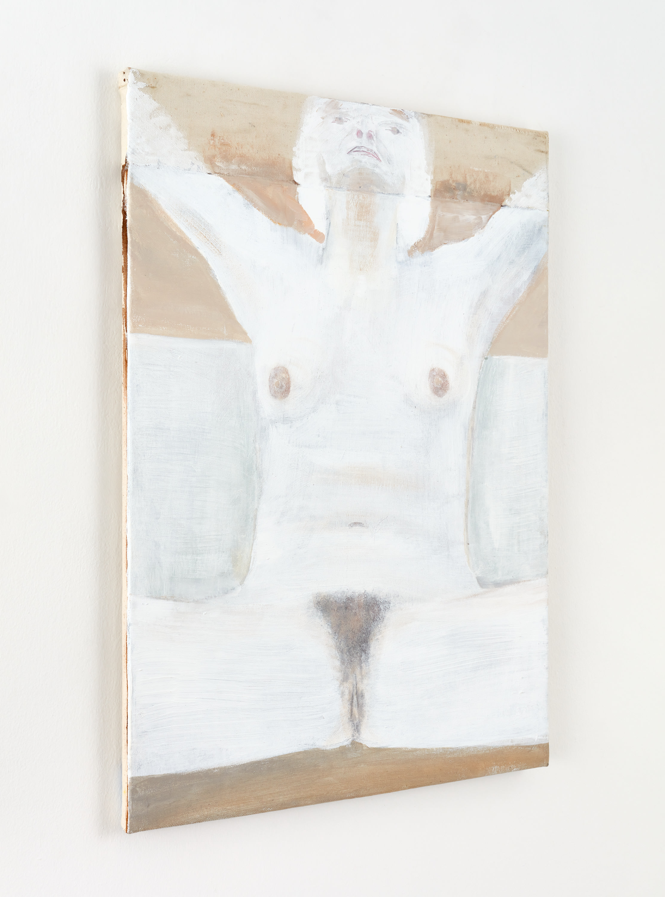 Torso