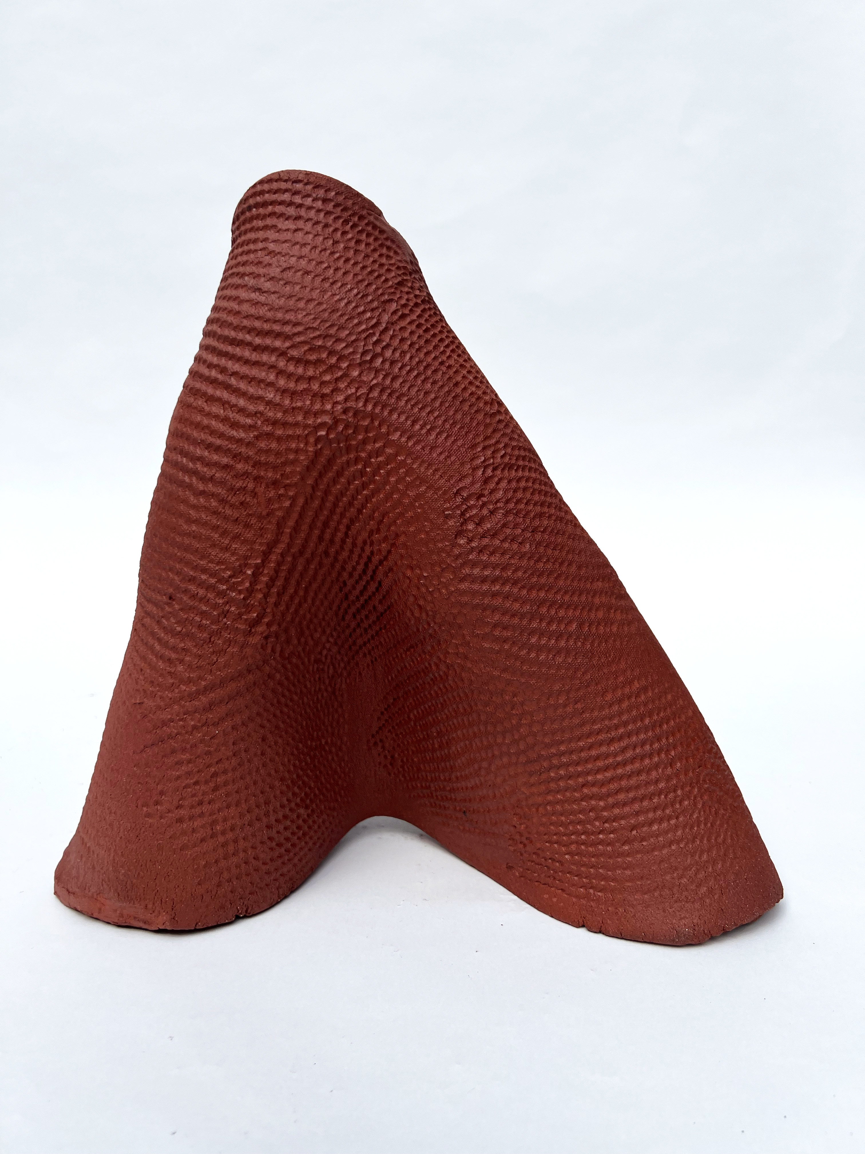 Roja Folds 1