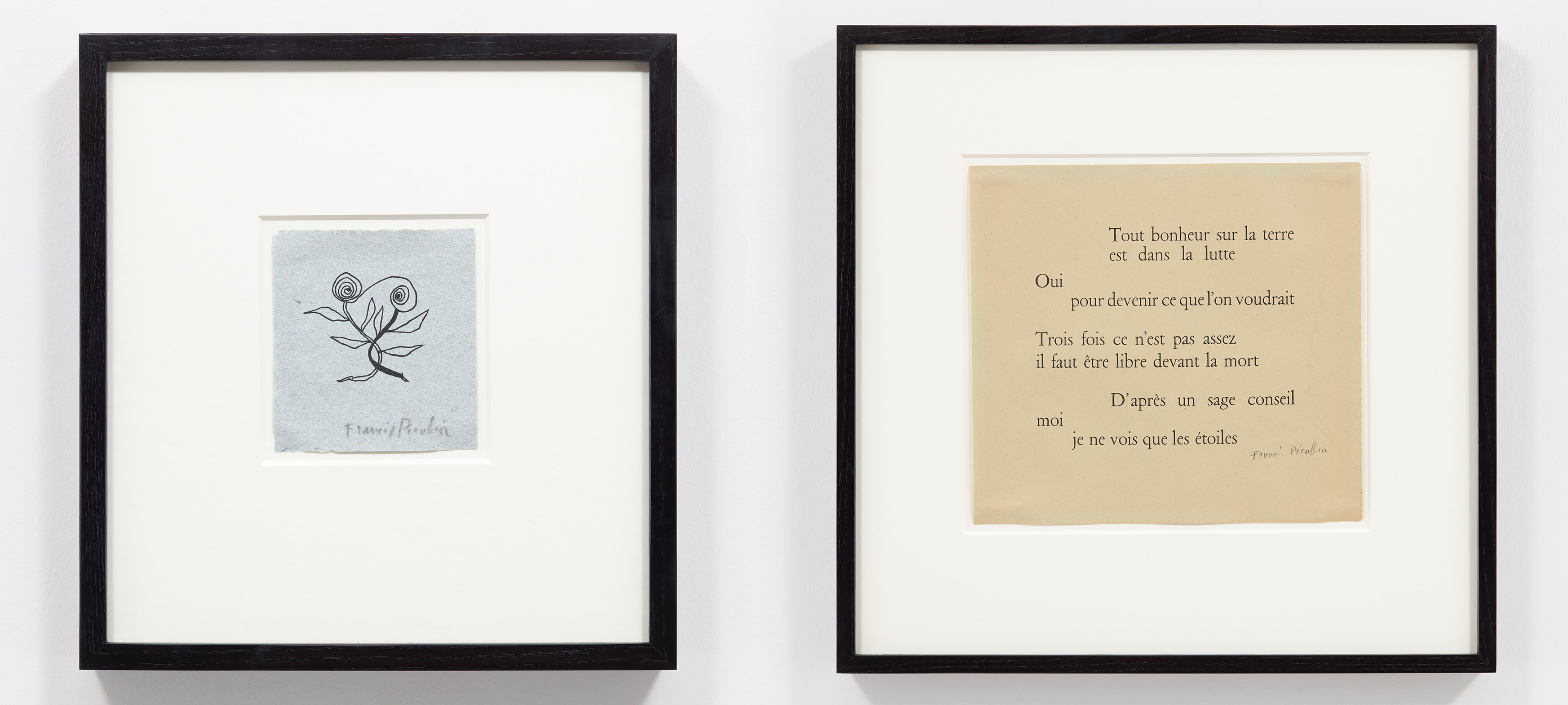 Assortiment de Dessins de Francis Picabia