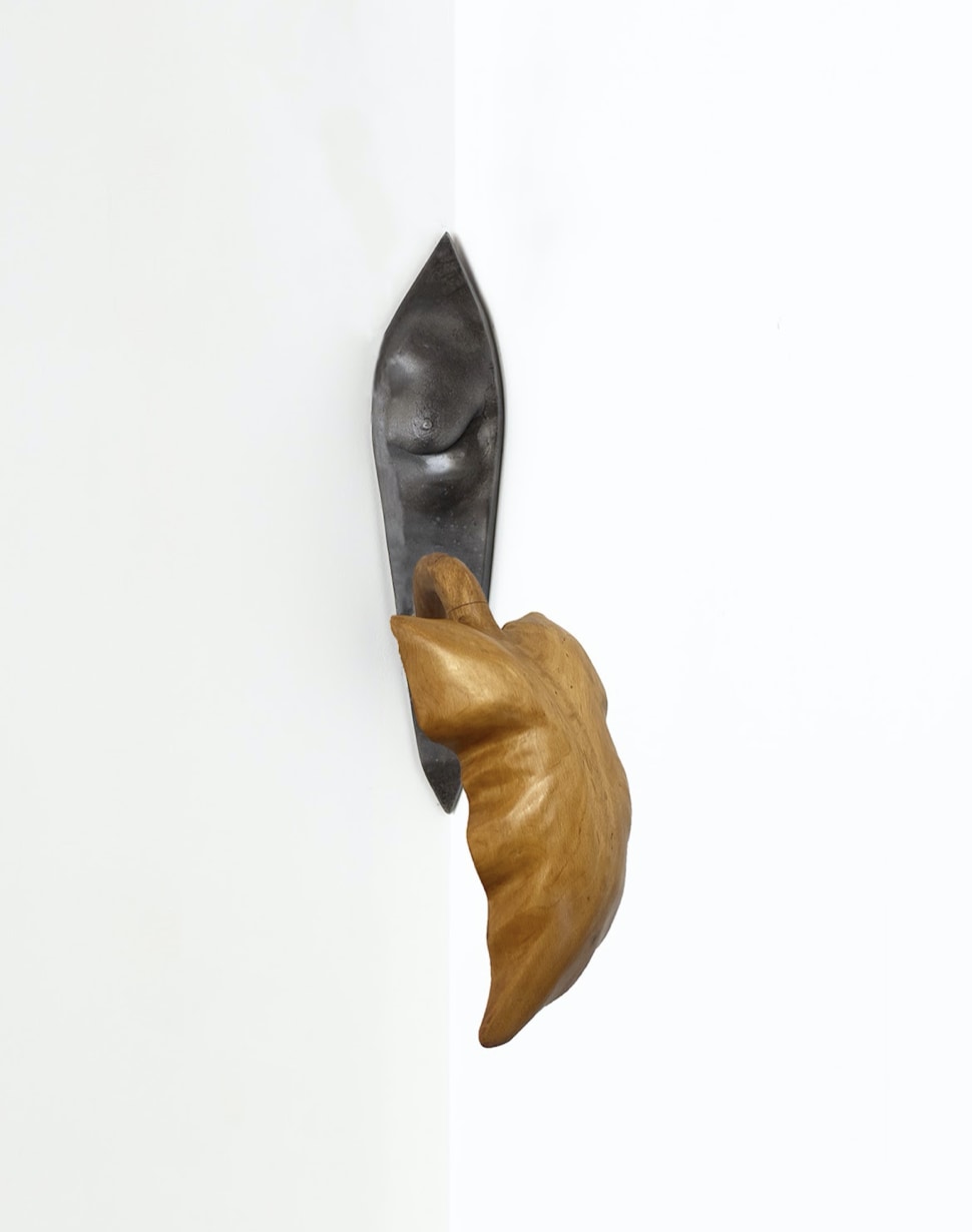 Breast Bracket #7 with Pronounced Midrib