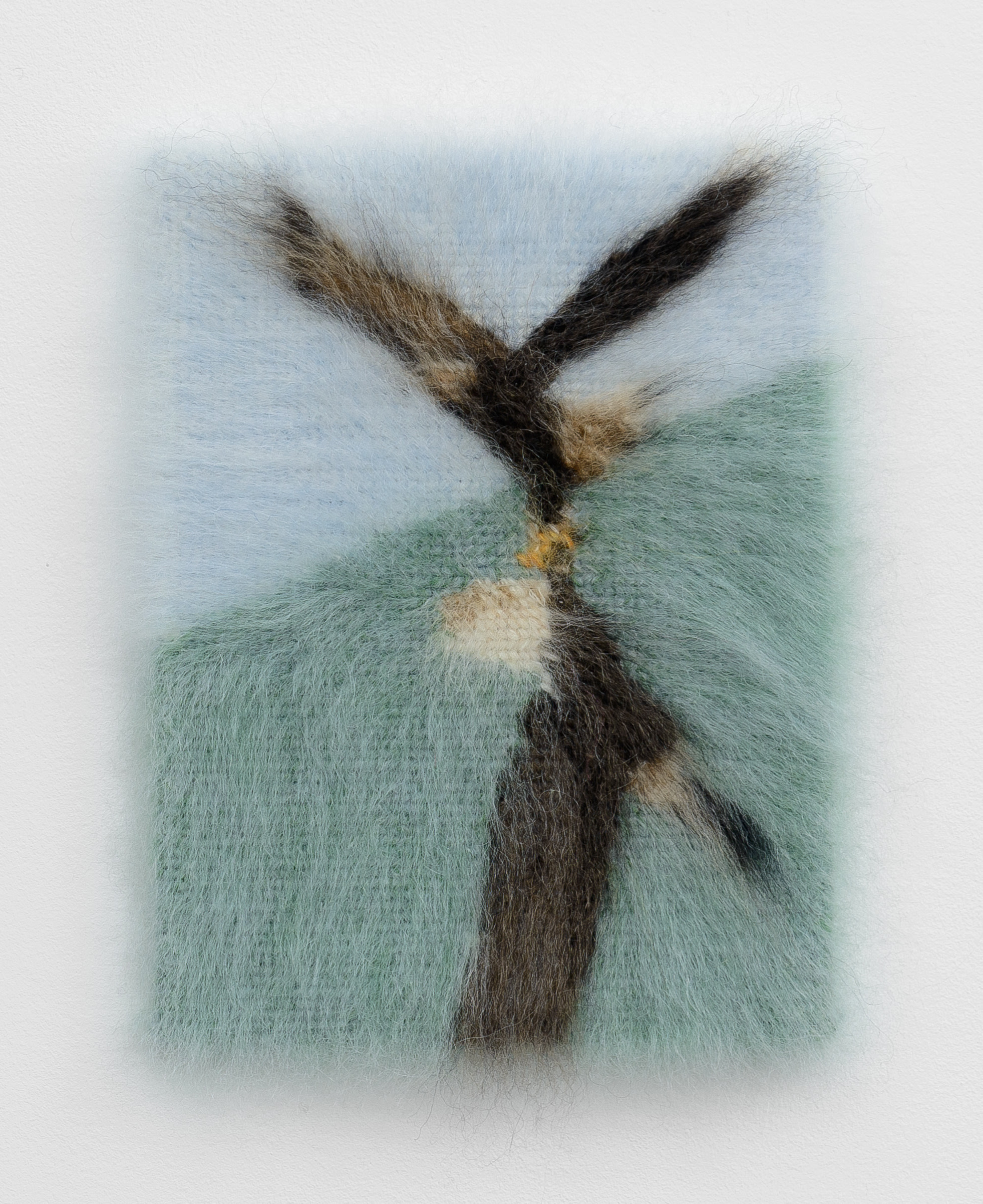 Eagles Spinning II