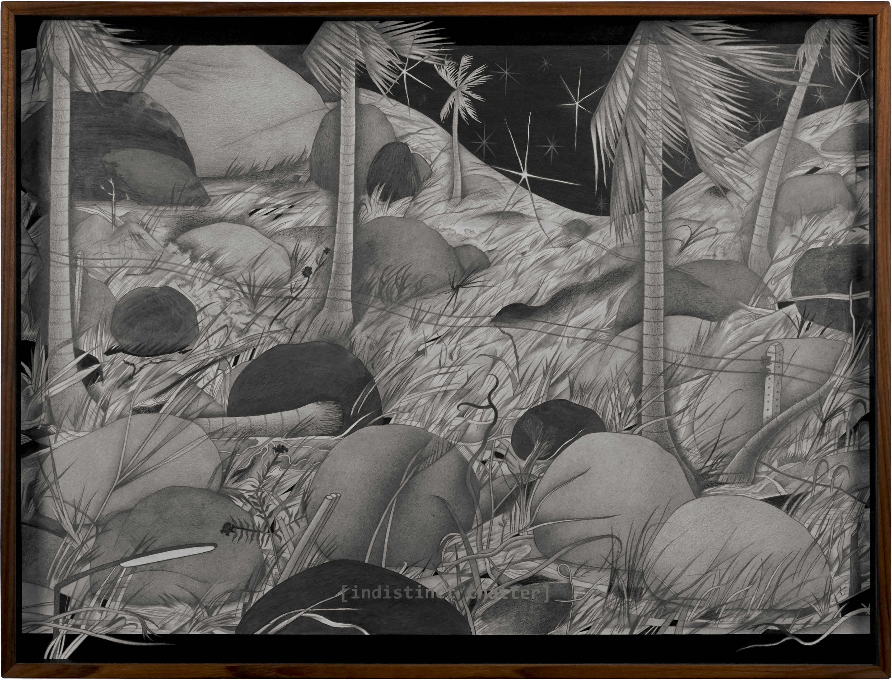 Moving Images of Stones on the Island_September