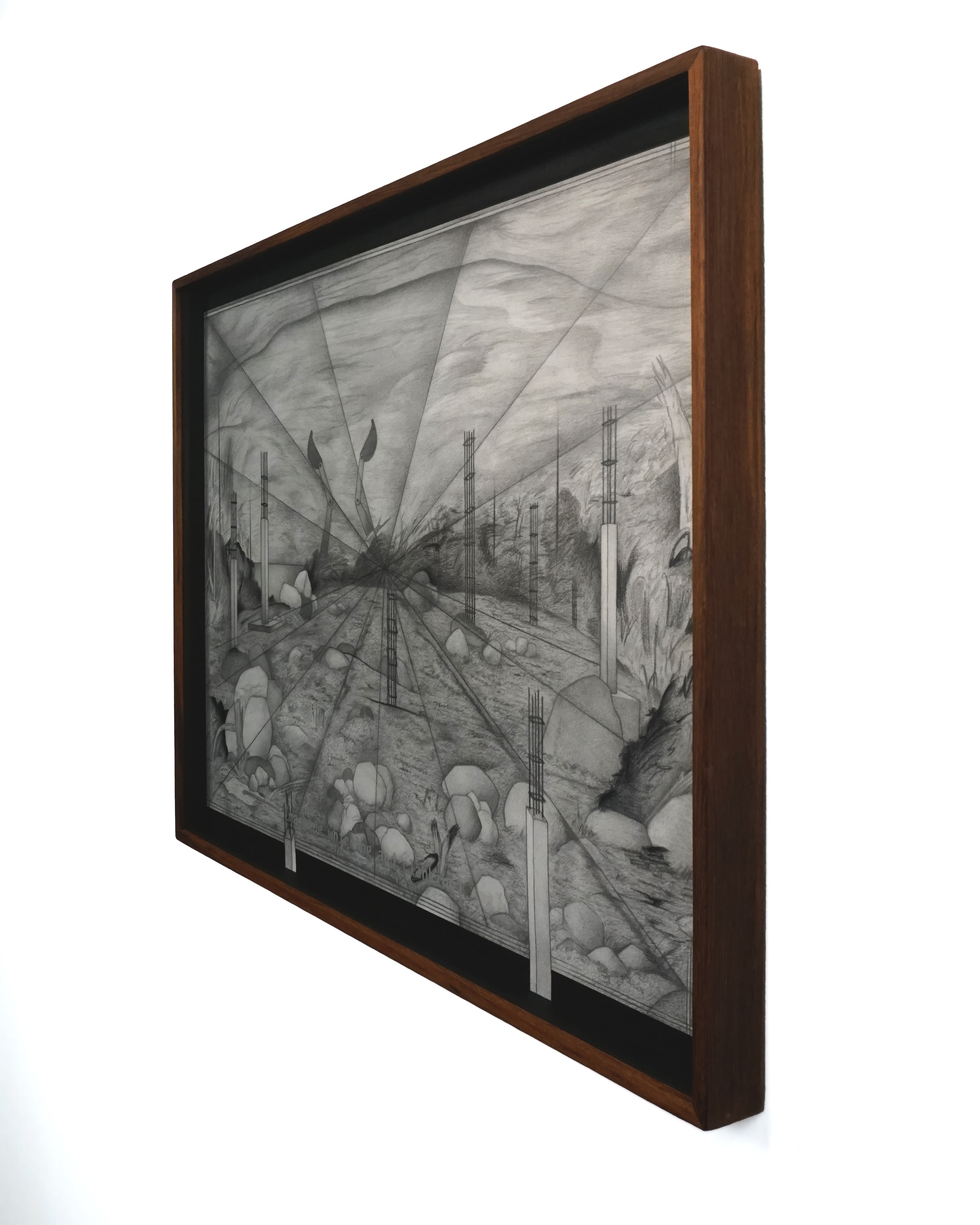 Moving Images of Stones on the Island_November