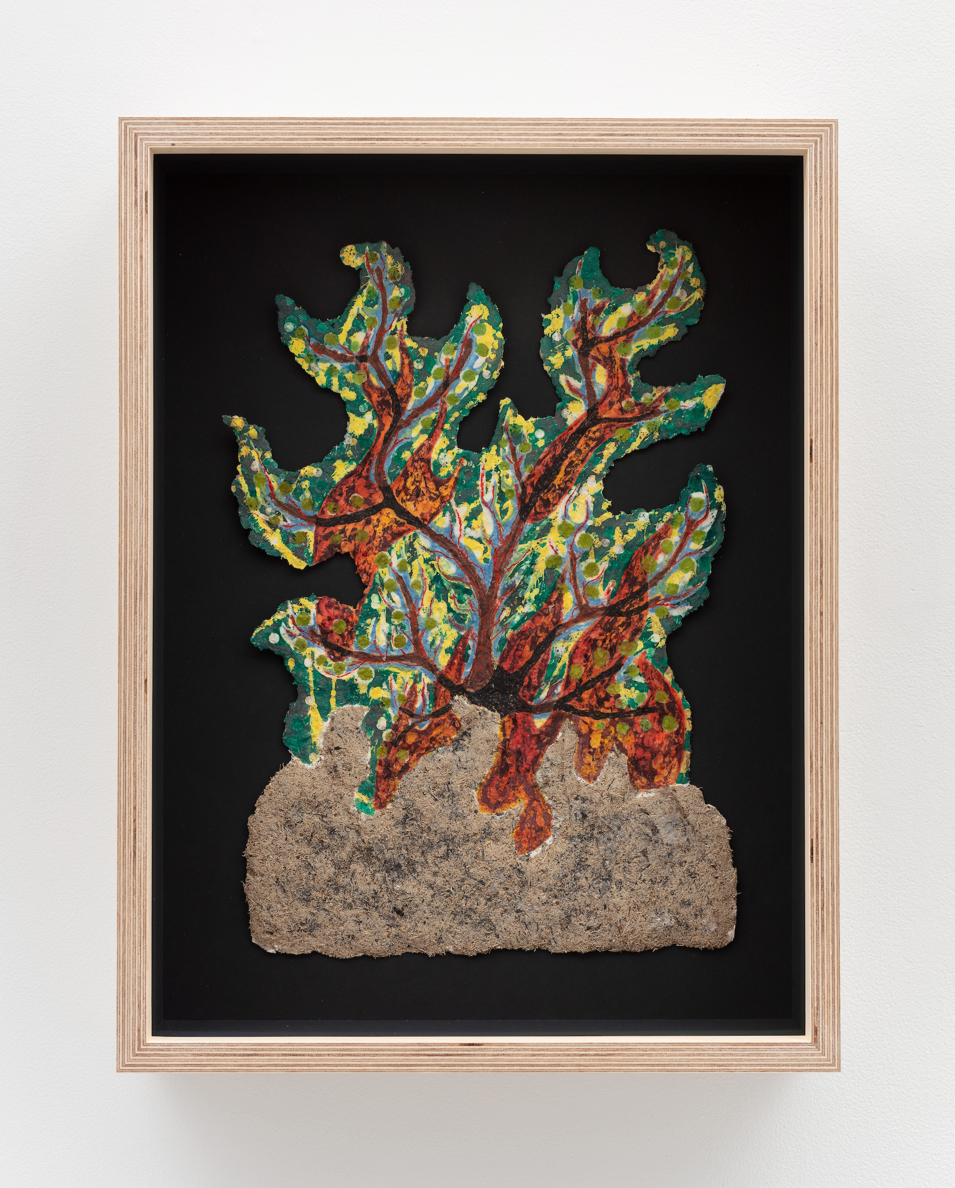 Burning Bush
