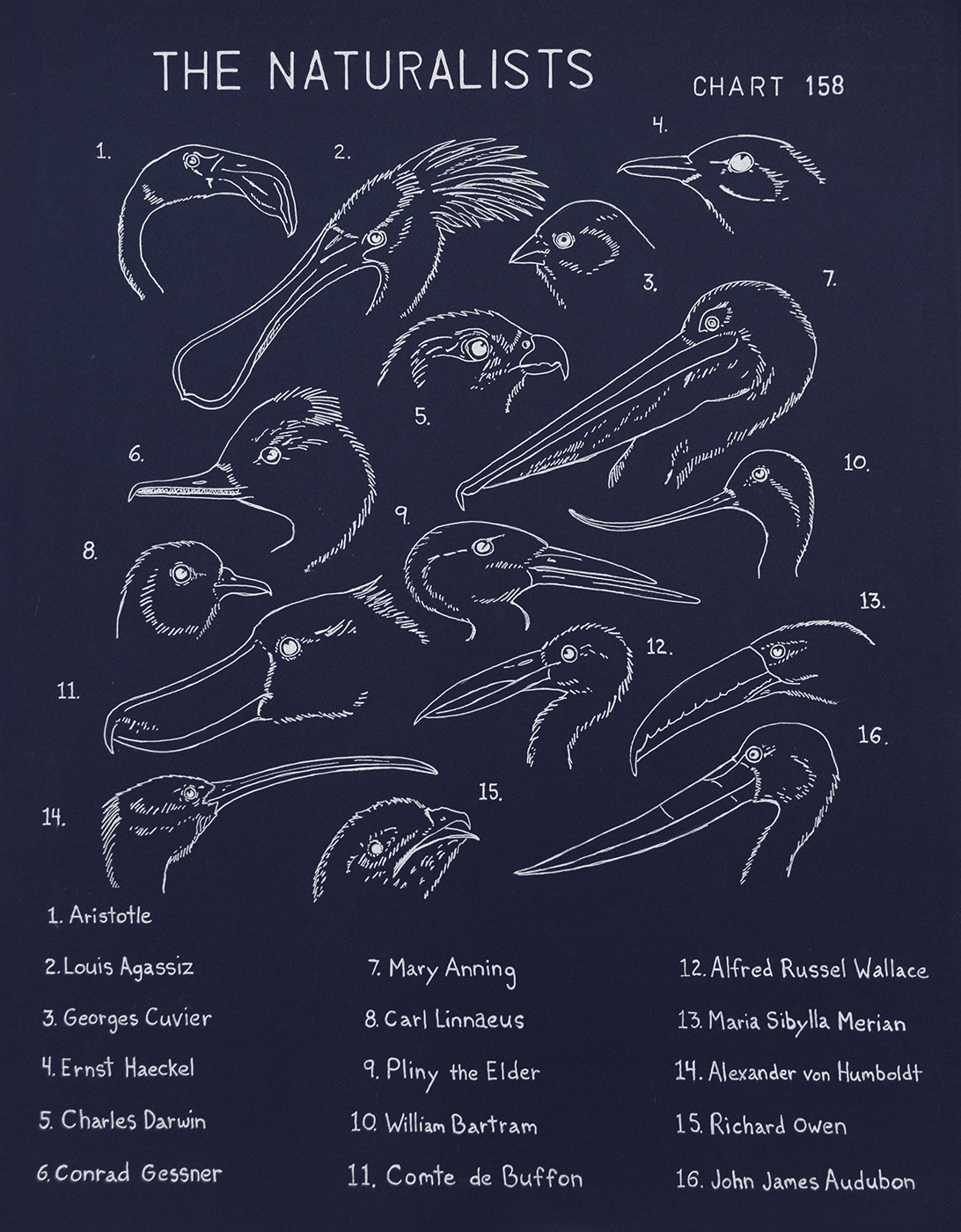 The Naturalists - Chart 158