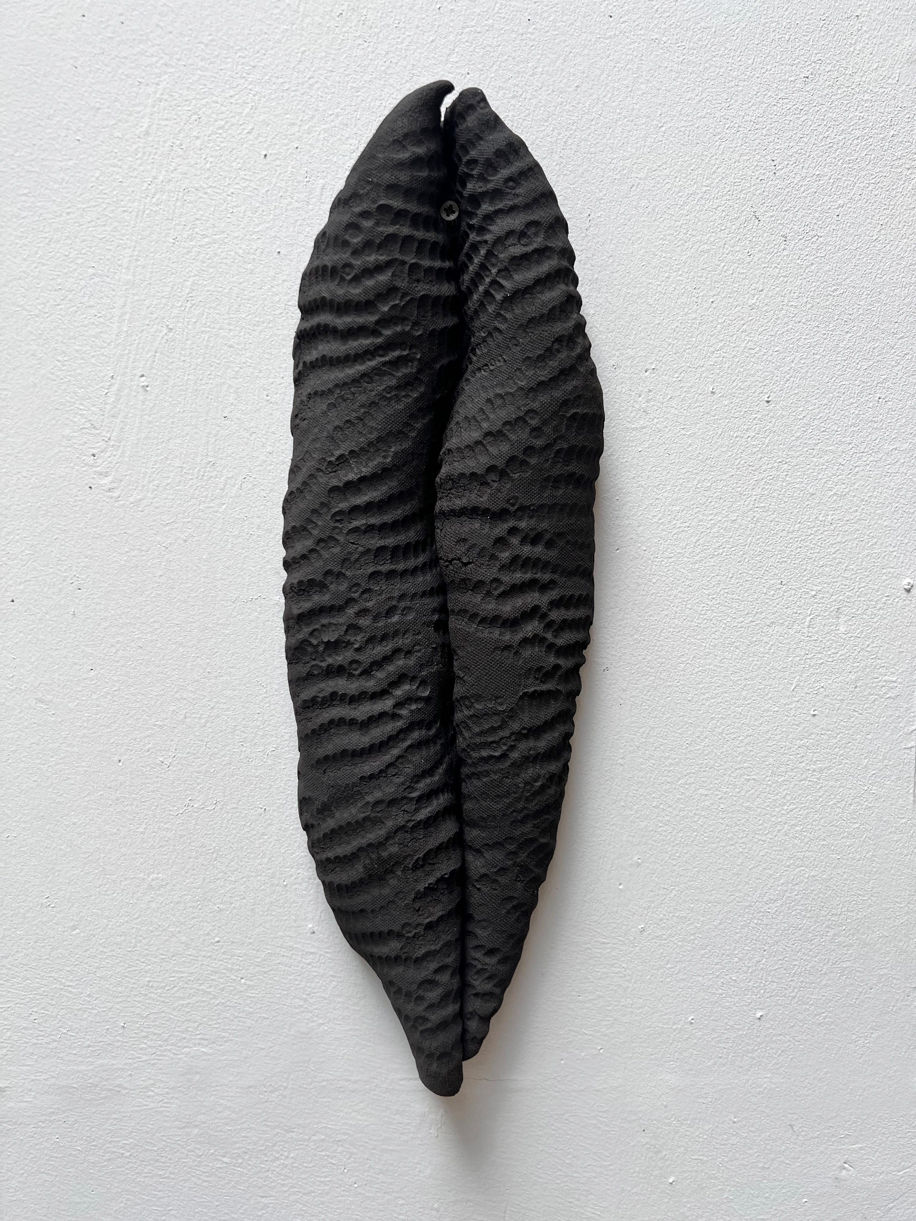 Semilla negra