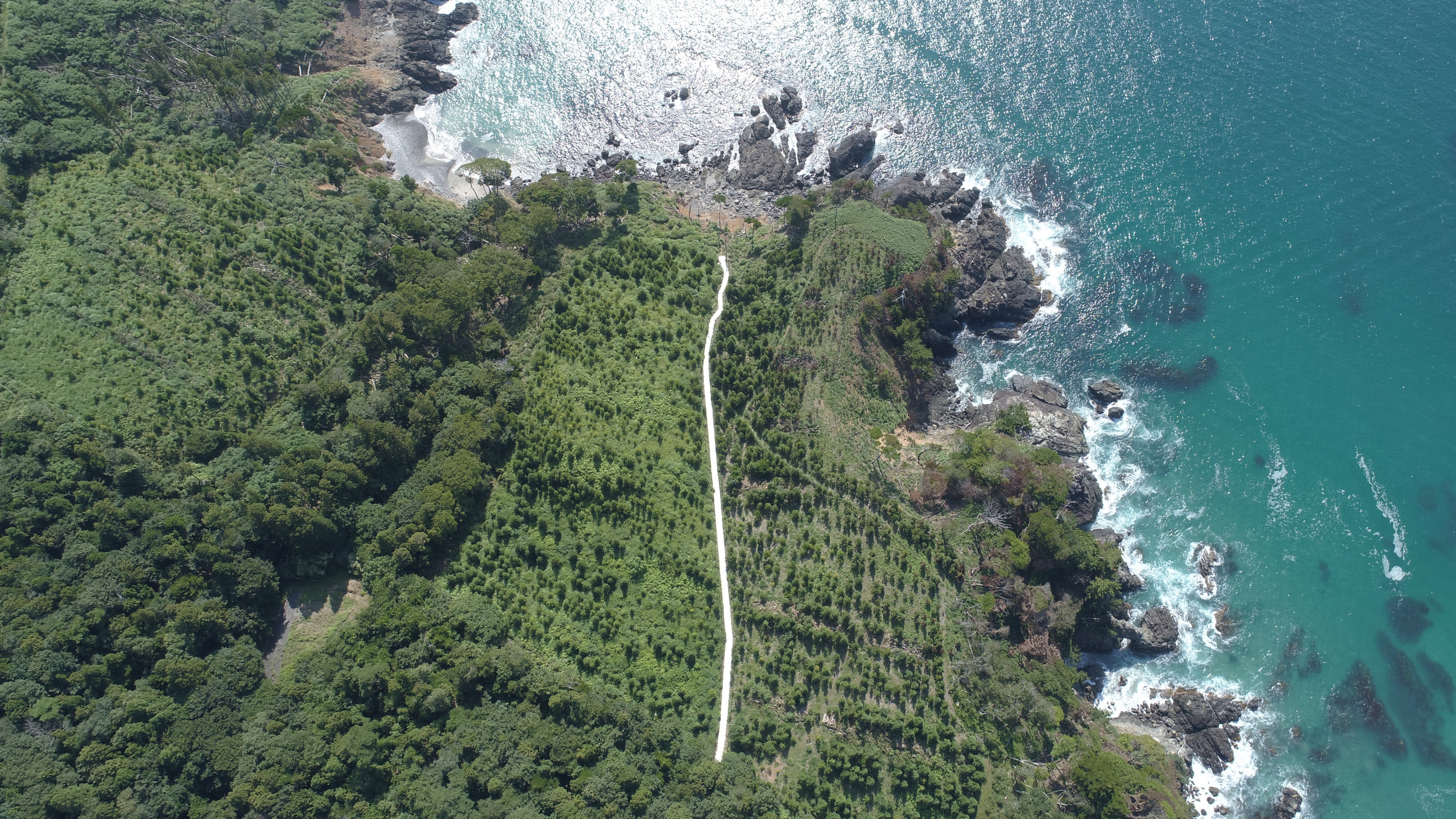 The White Road