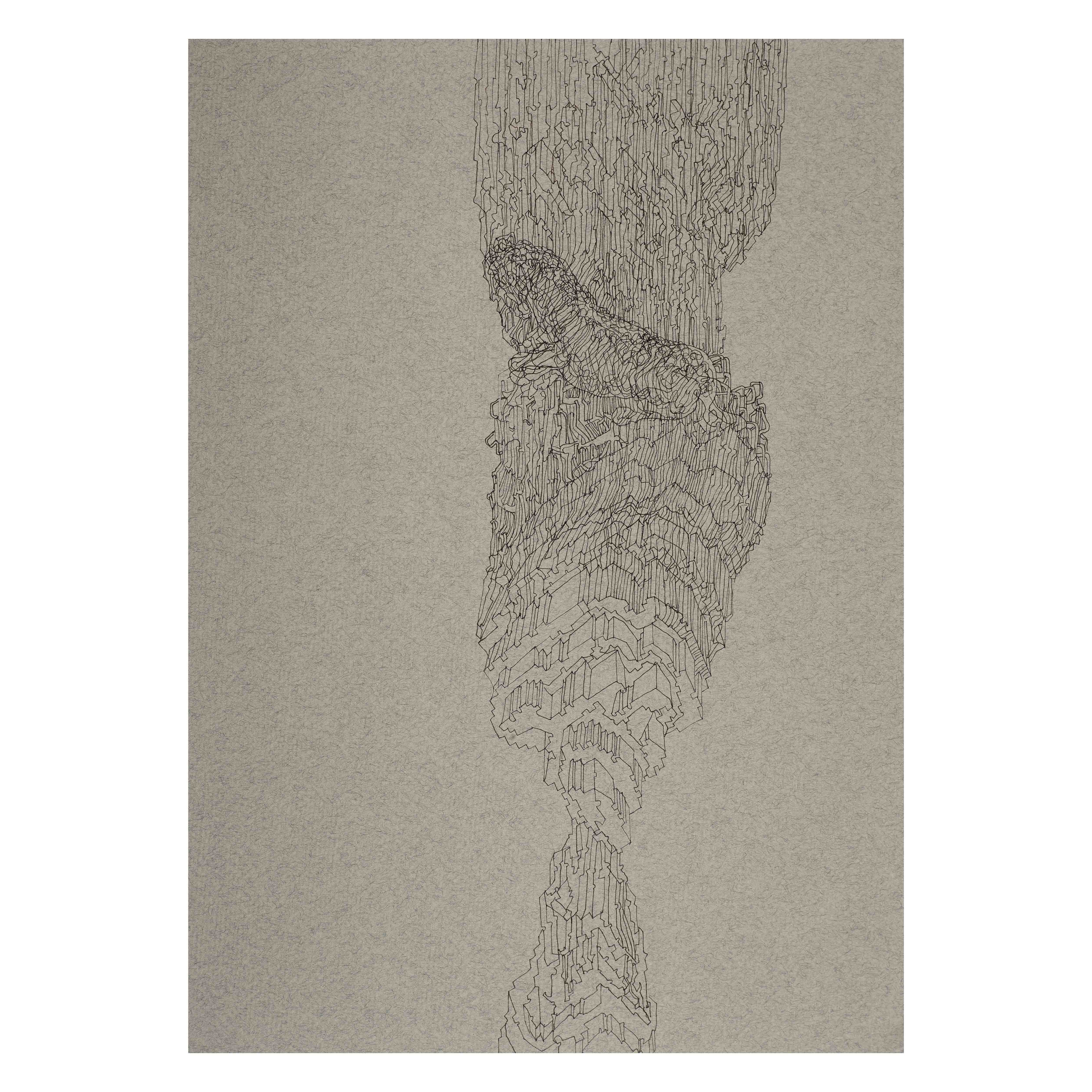 Seeing is done by another part of the body