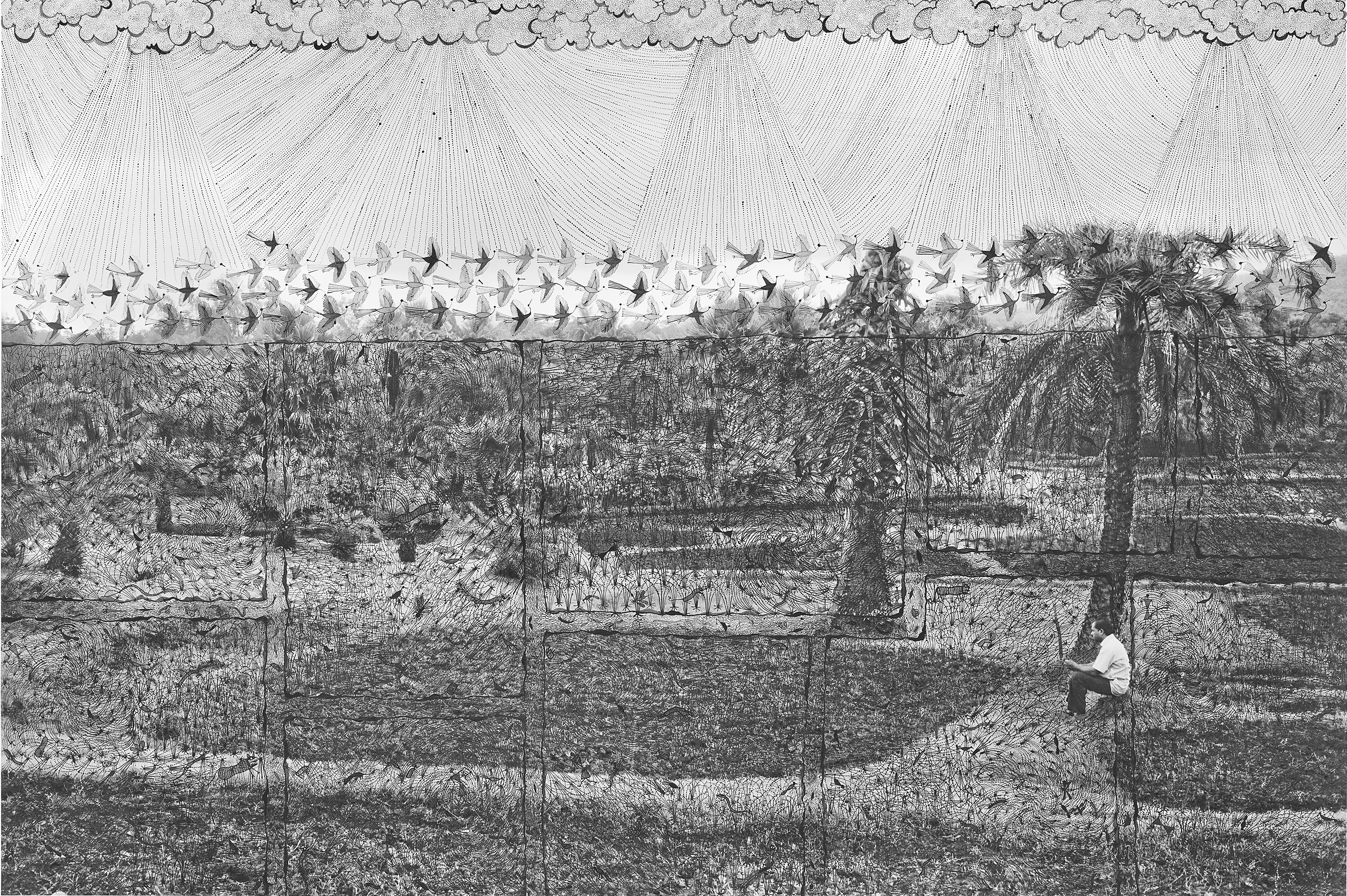Breathing Rain, Living Fields, From the Series Fields of Sight