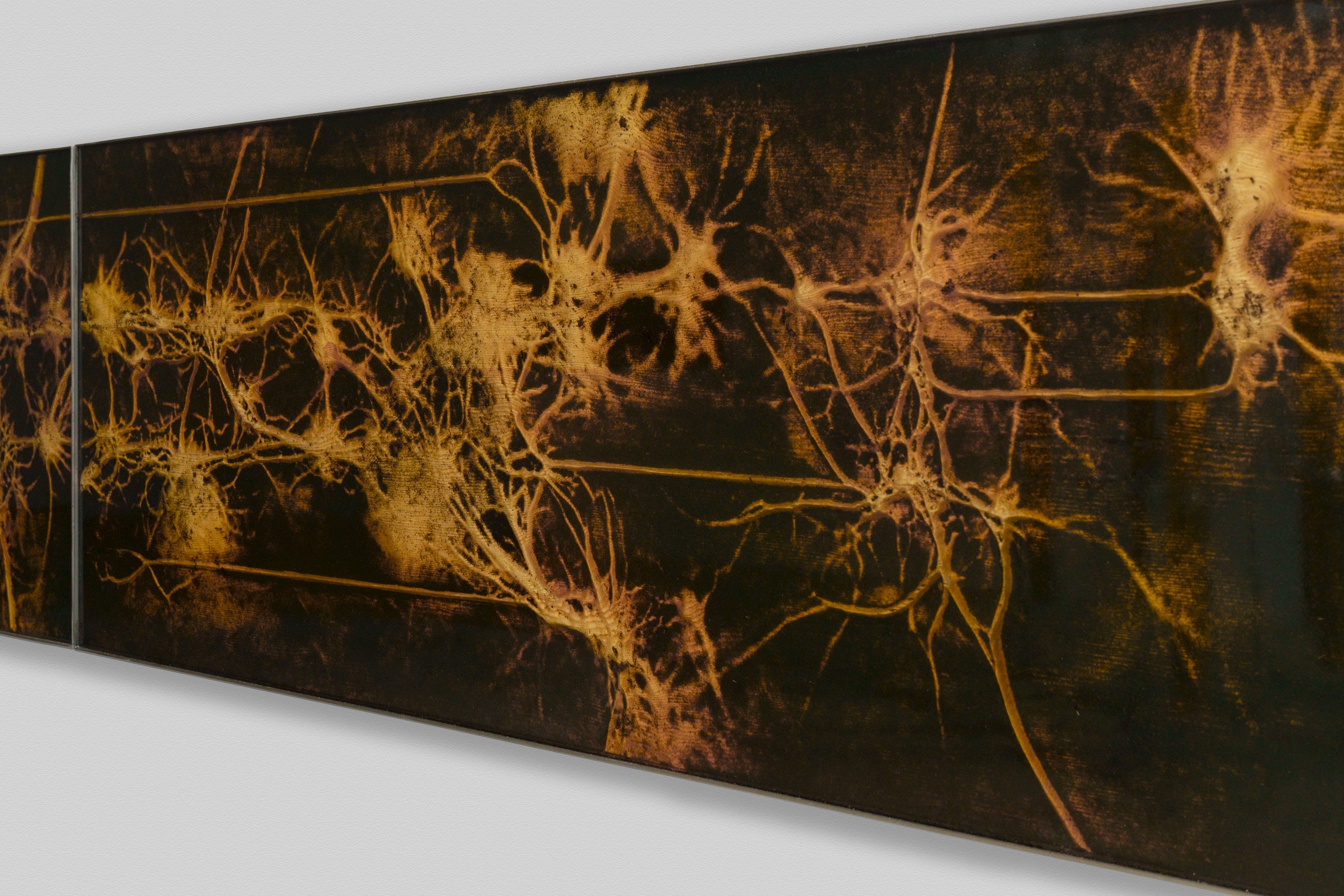Untitled (diptych)