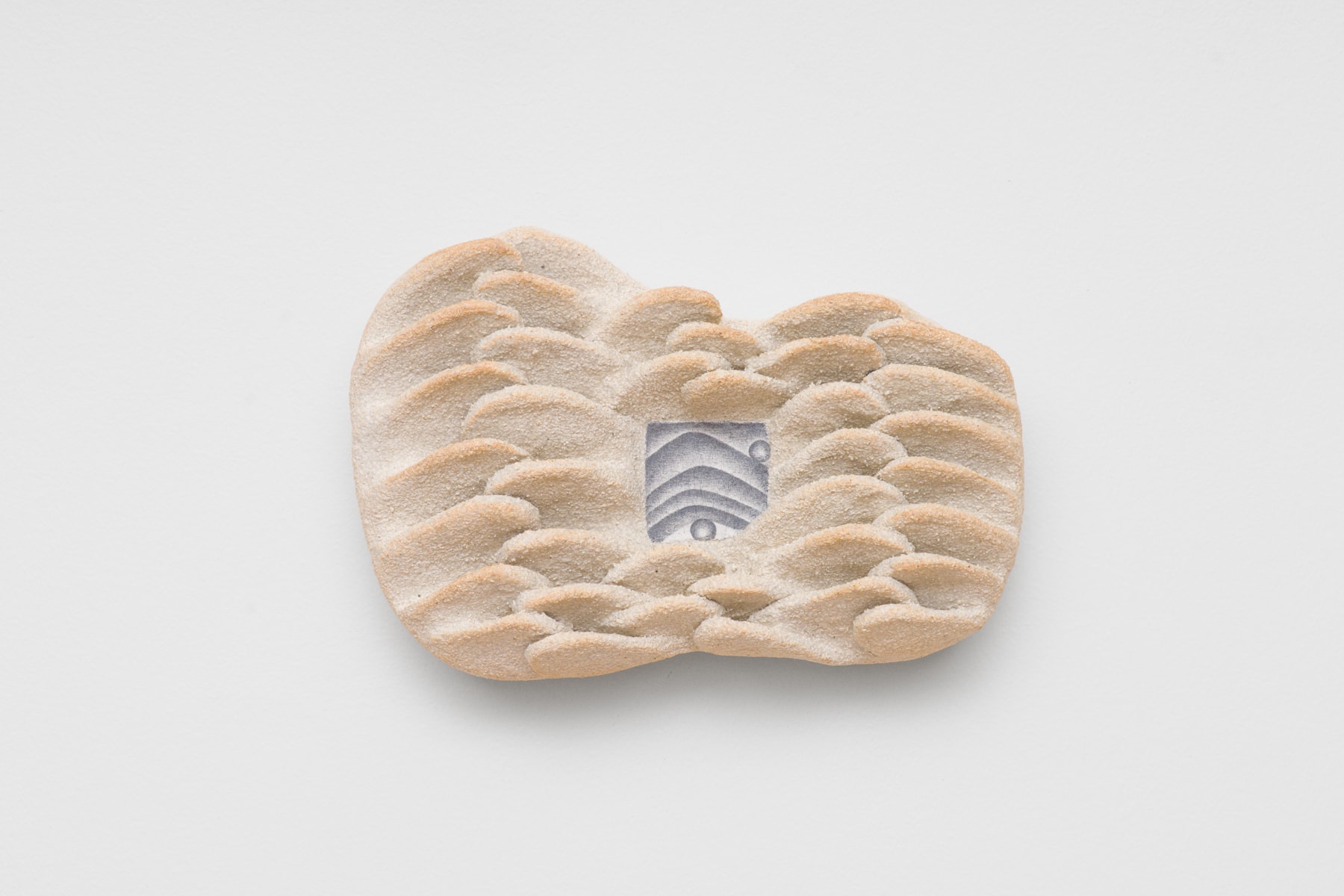 Every day a mountain and a fossil rise