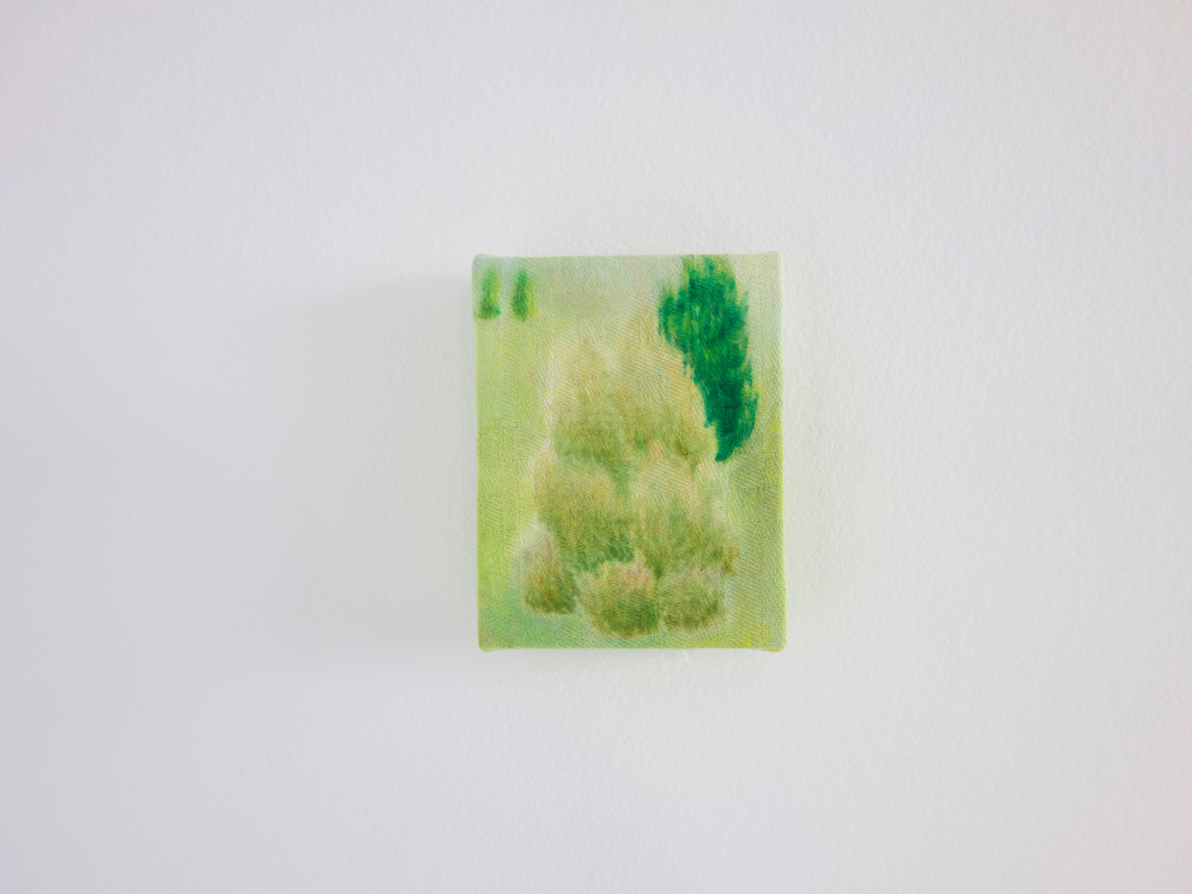 Truth claim (portrait of a bush 1)