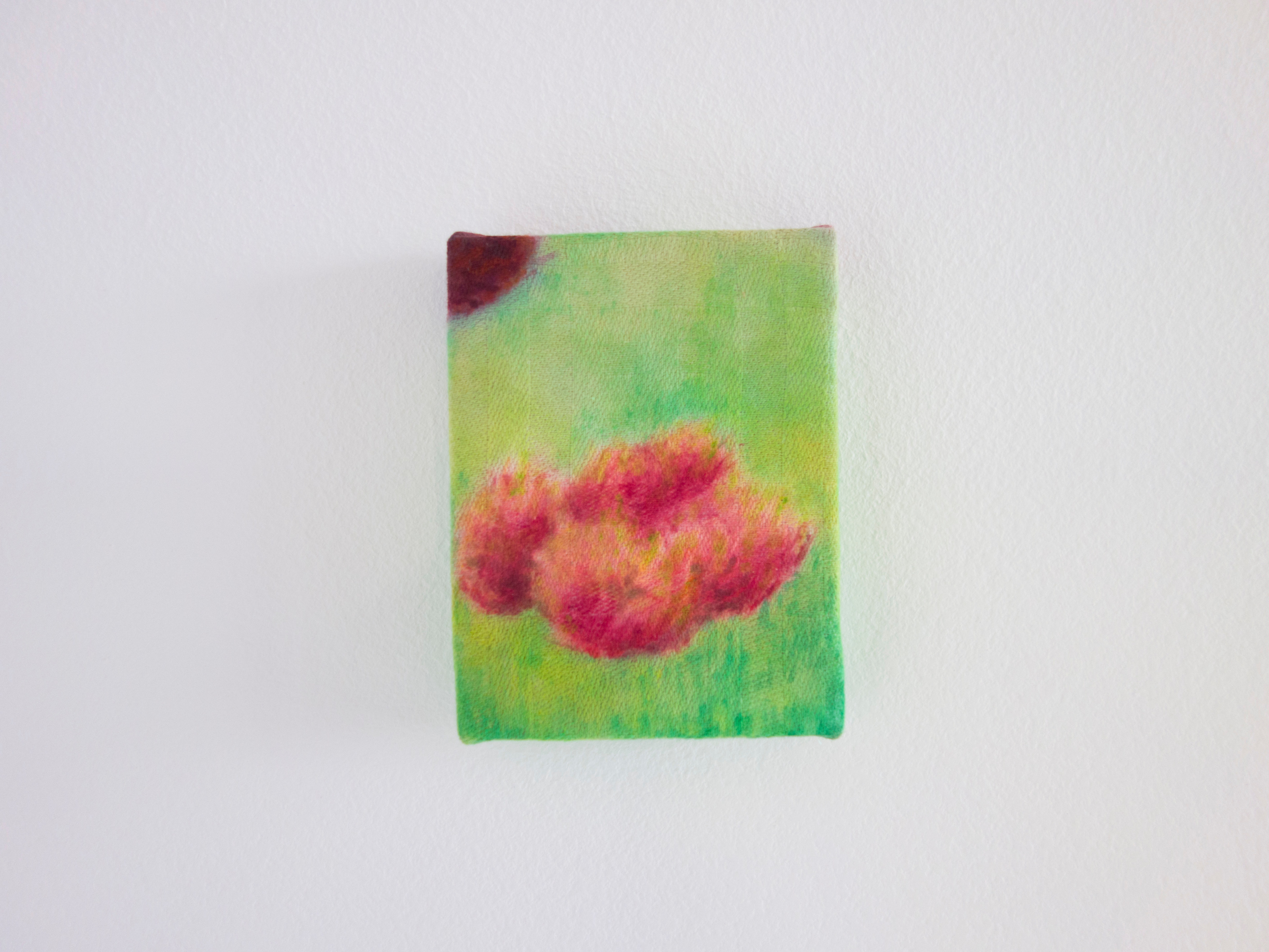 Truth clain (portrait of a bush 2)