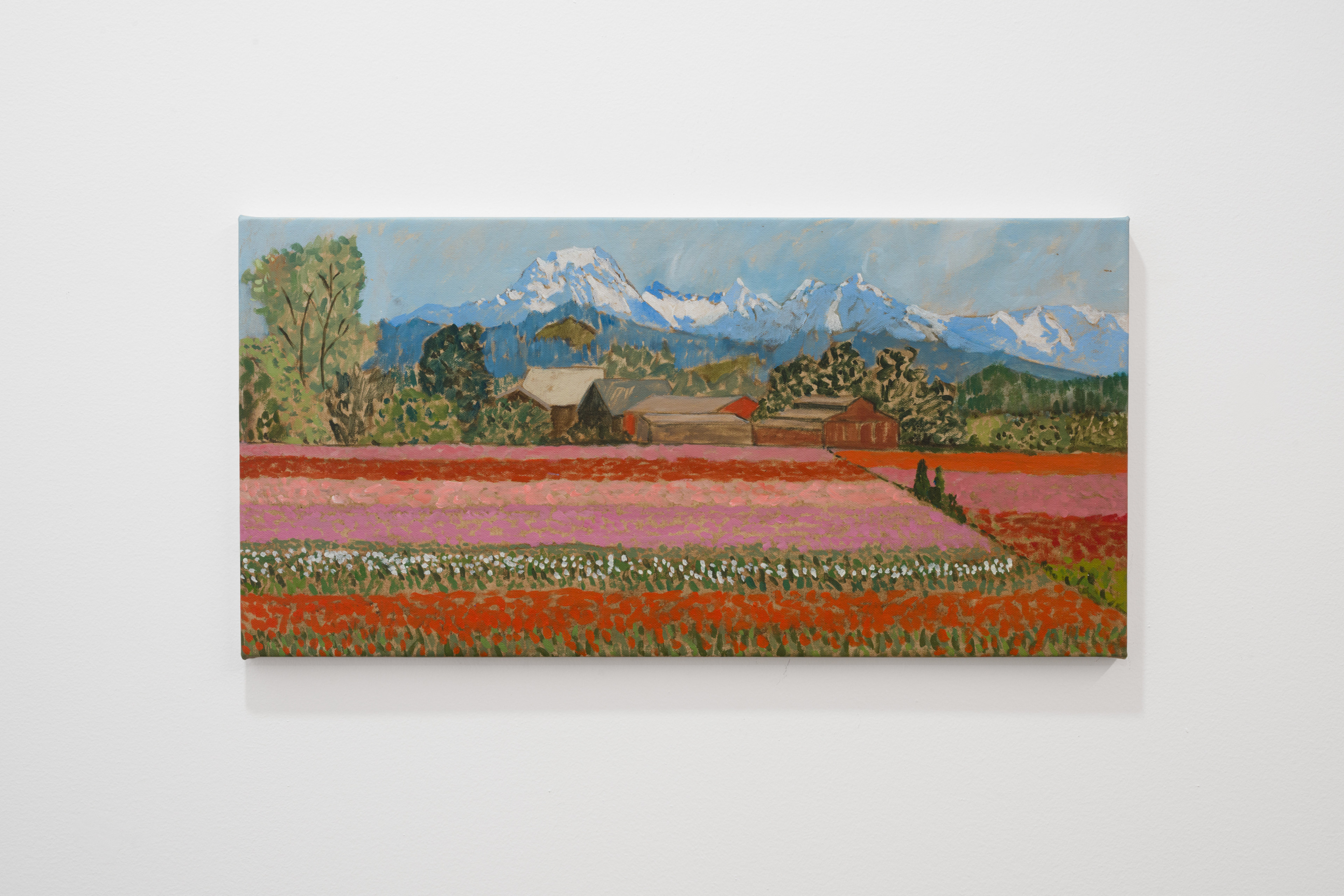 Study (Skagit Valley)