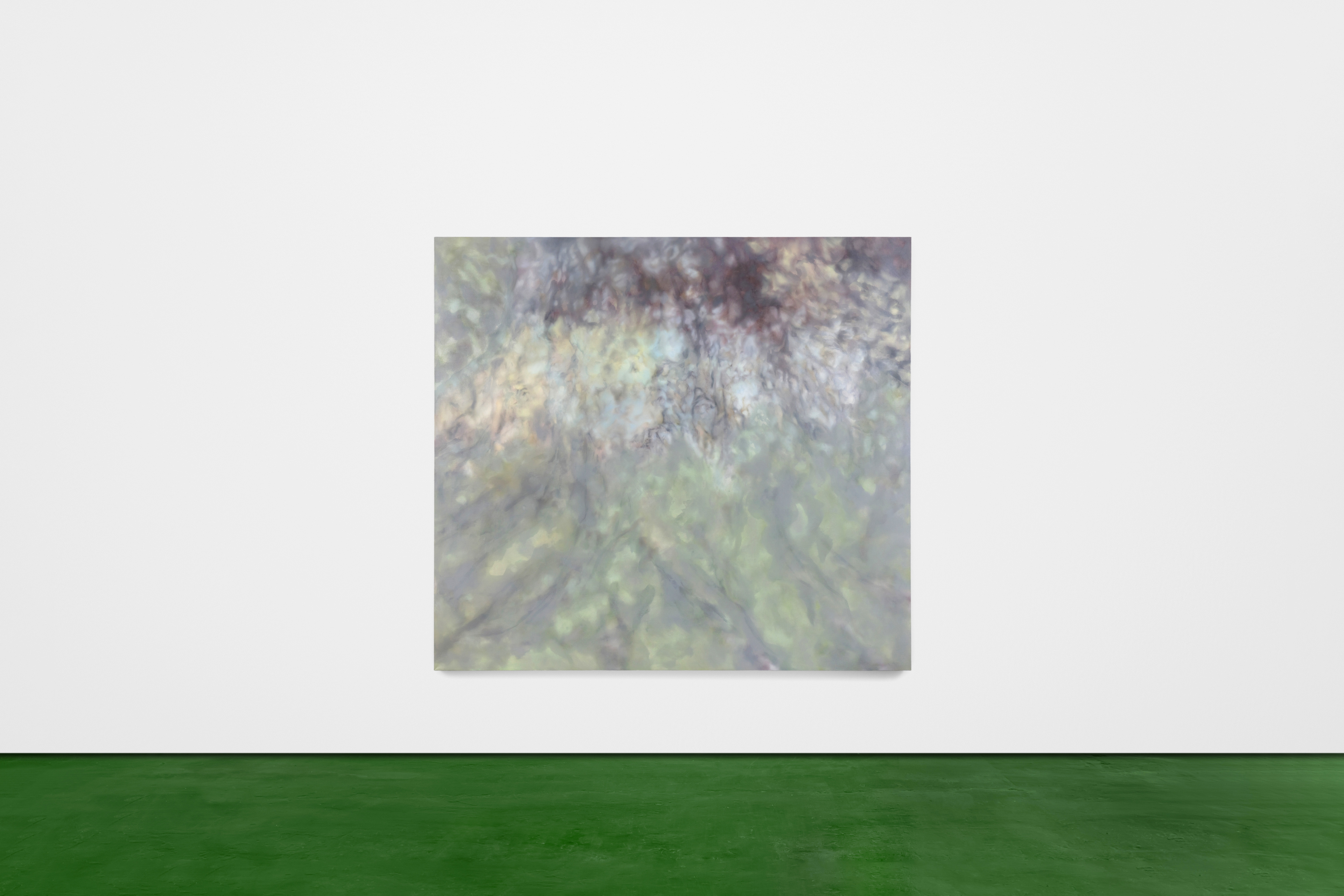 The forest floor