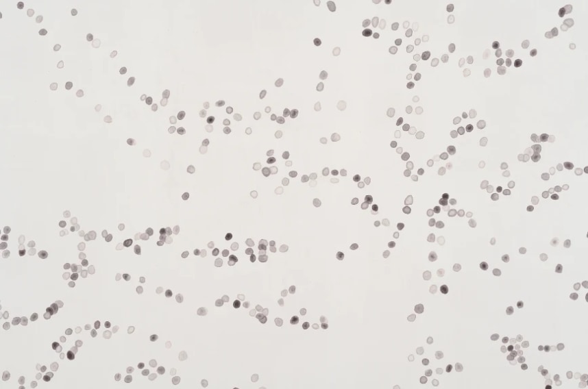 Crab Pellets