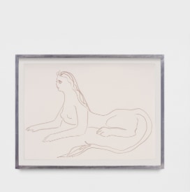 Sphinx 25
