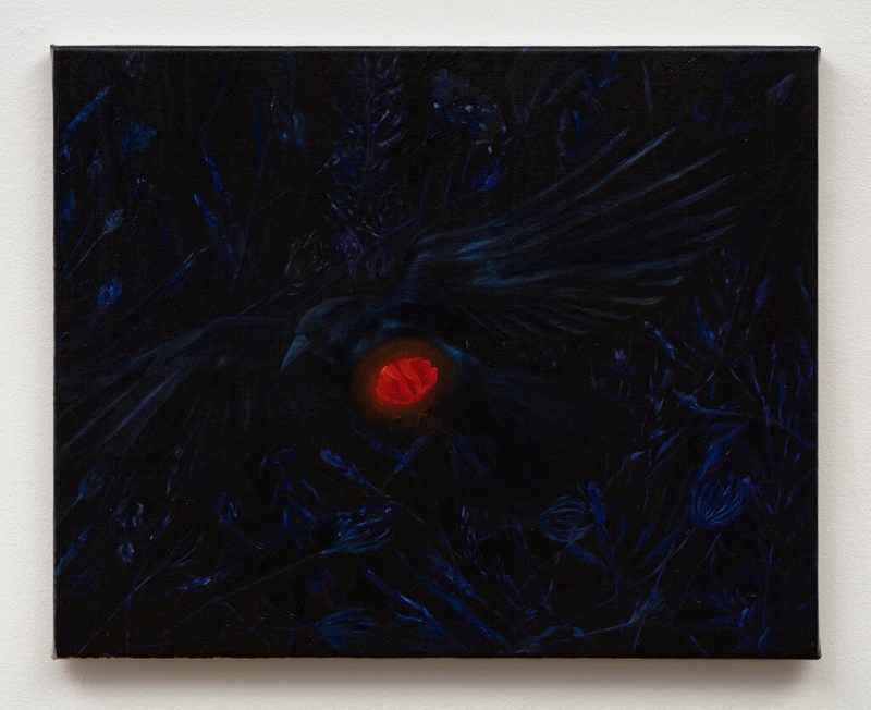 Crow with a Poppy