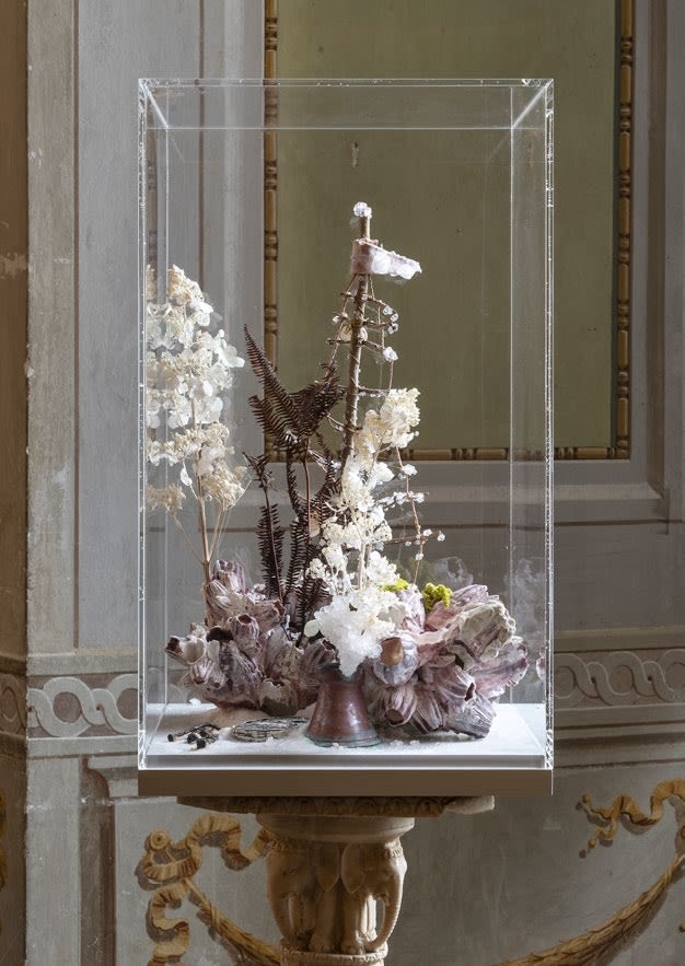 Bloom (l’unicorno, barca notturna)