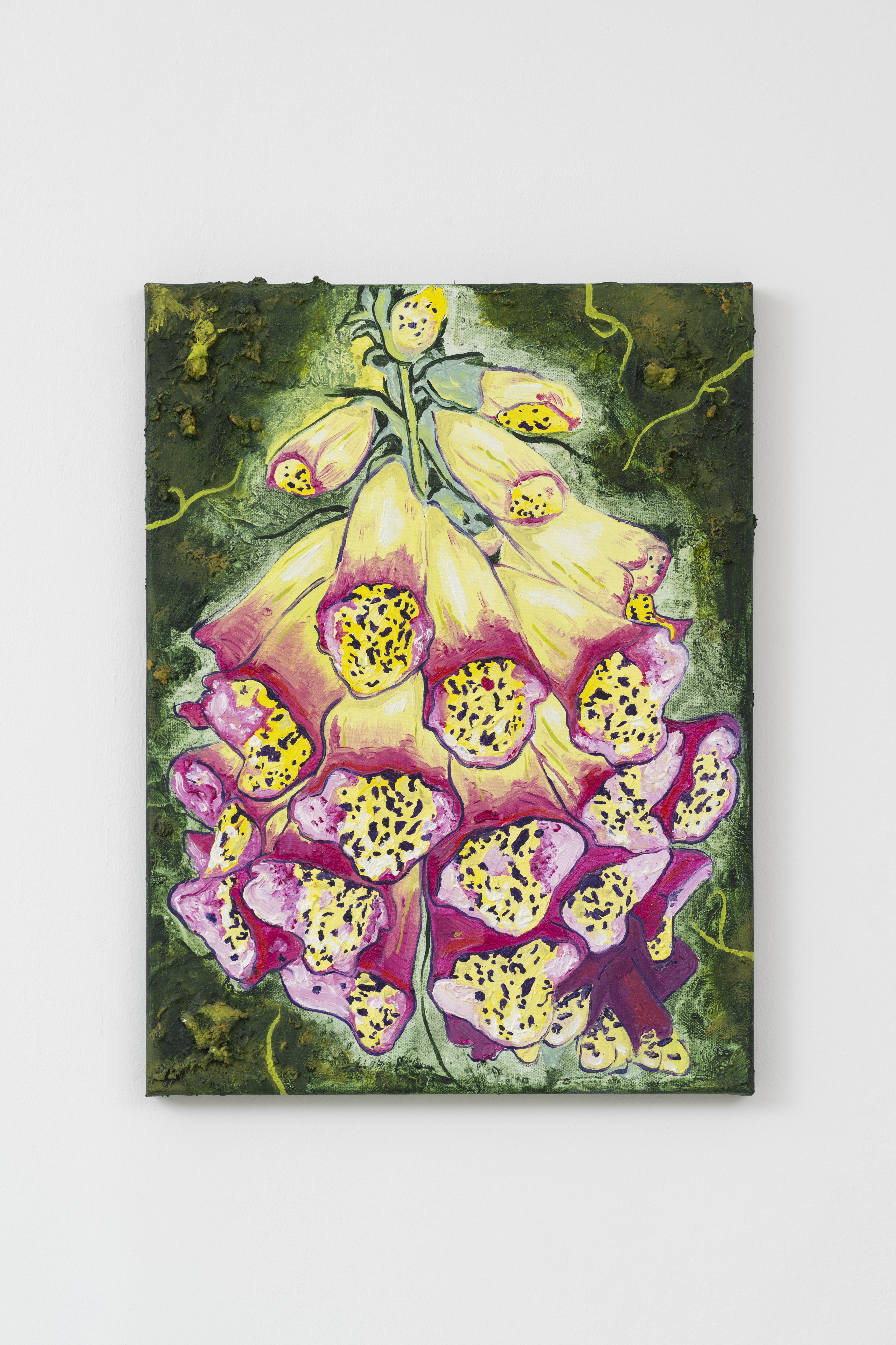 Foxglove