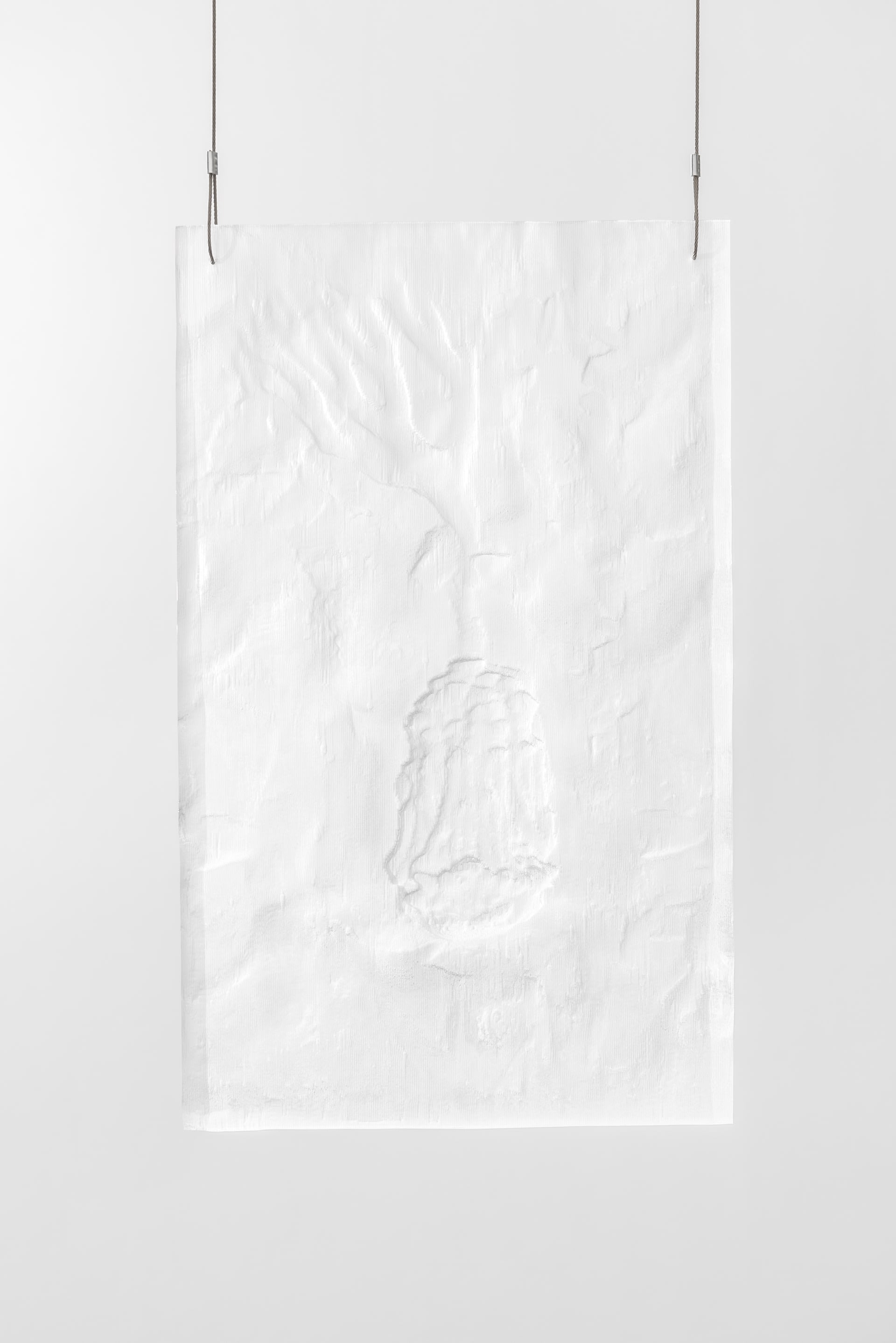 Plastifossil 4