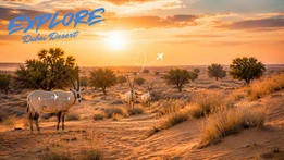 Dubai Desert