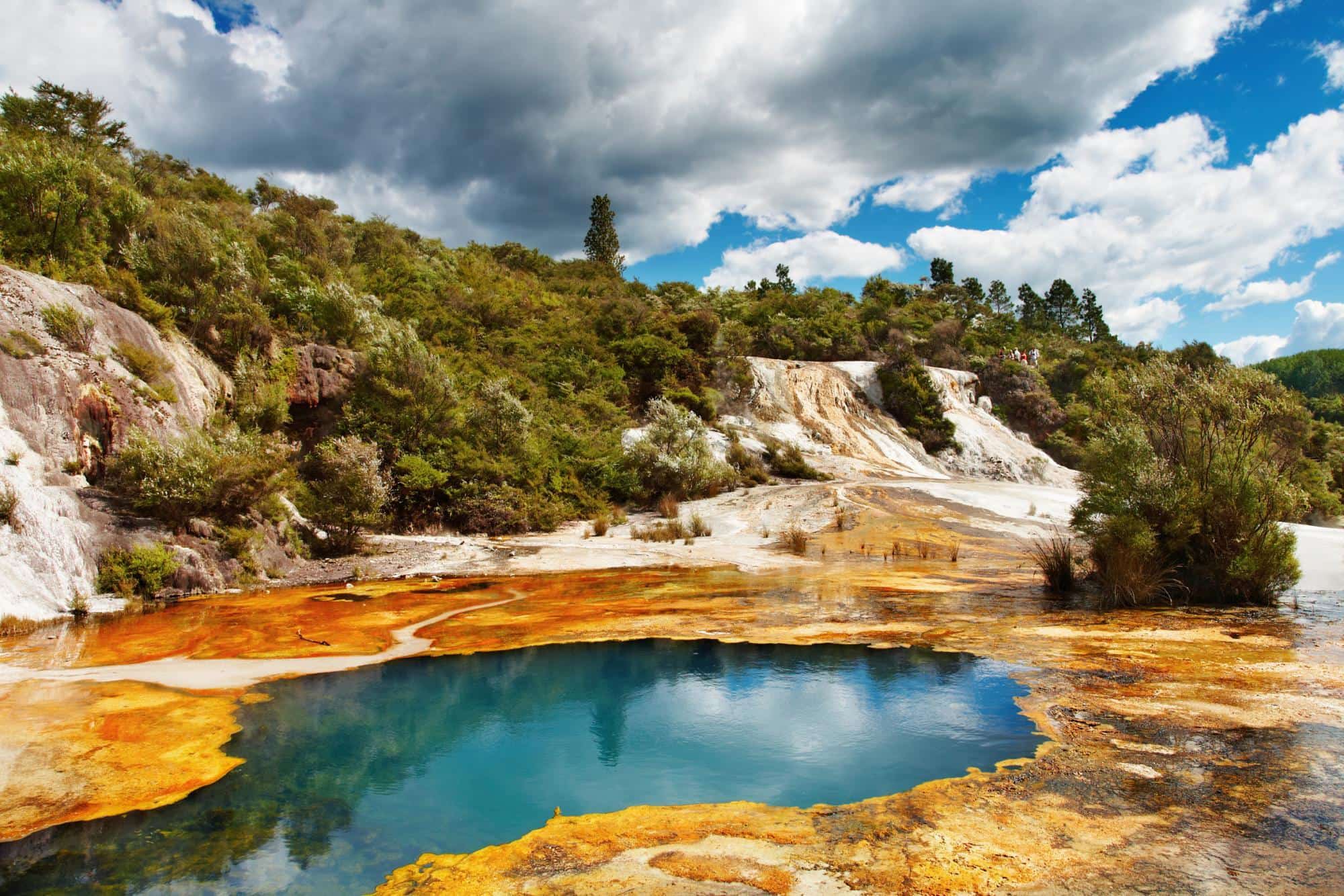  Rotorua 