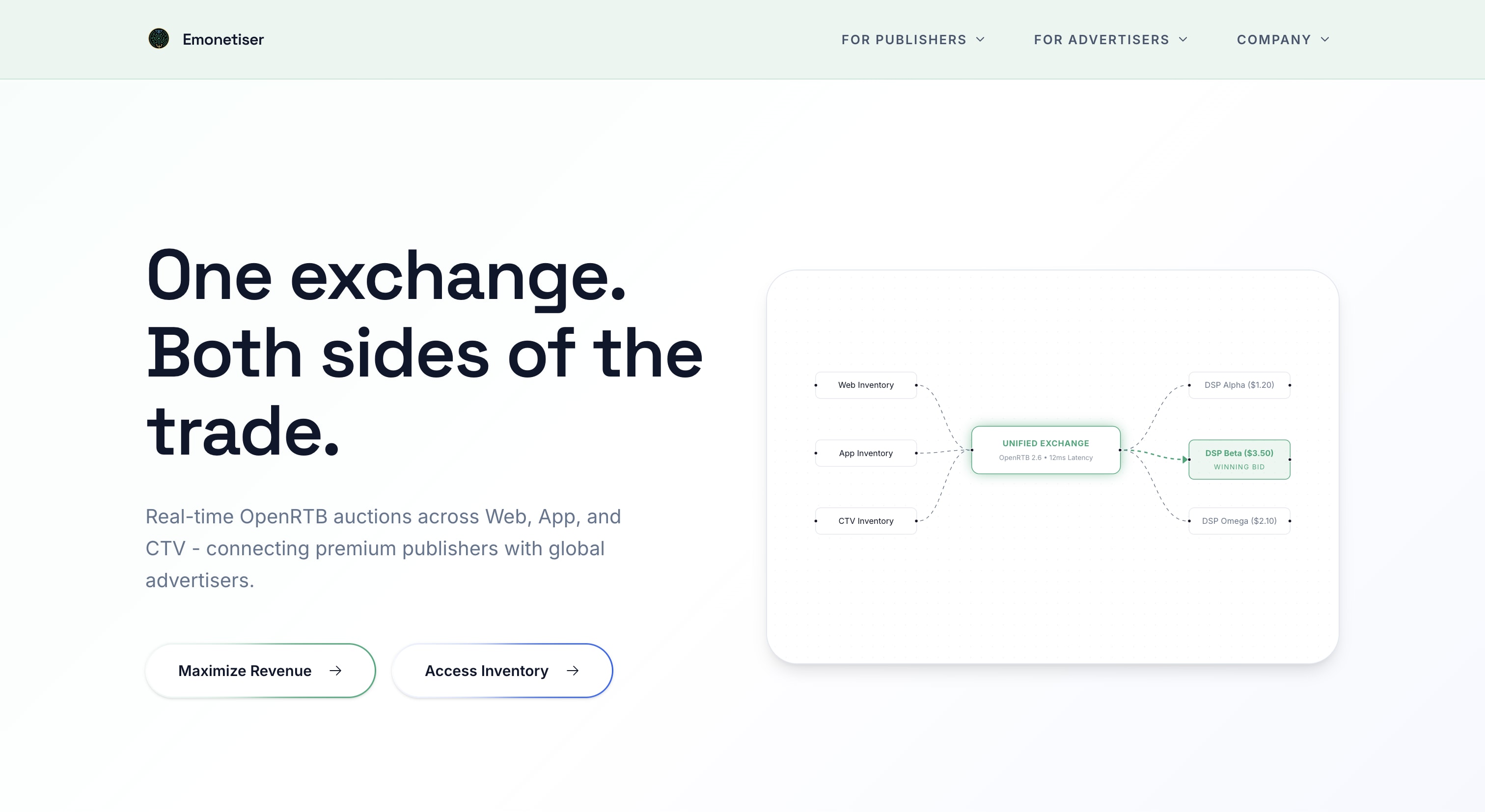 EMONETISER project preview