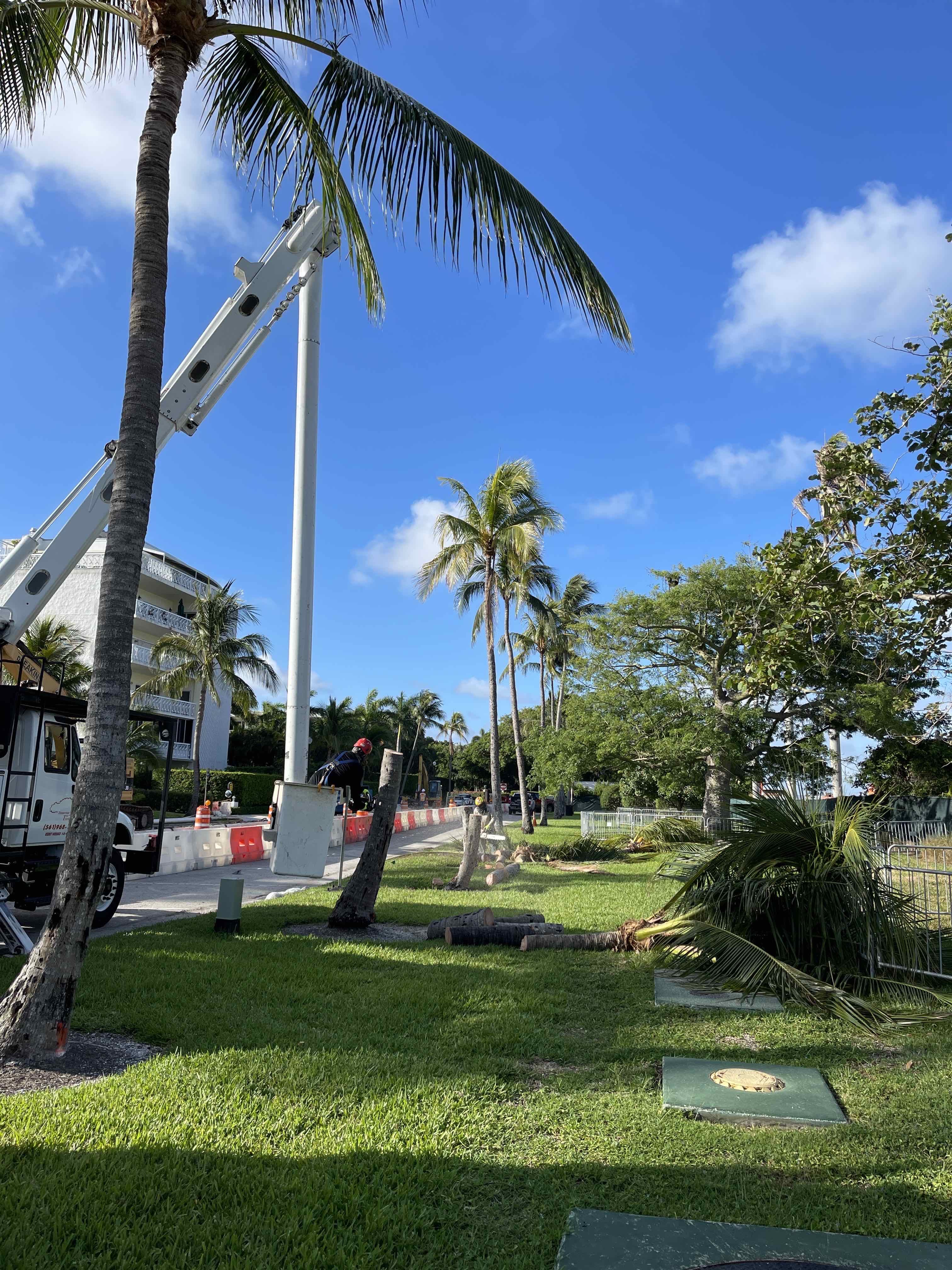 Town of Palm Beach Marina Renovation Town of Palm Beach Marina Renovation