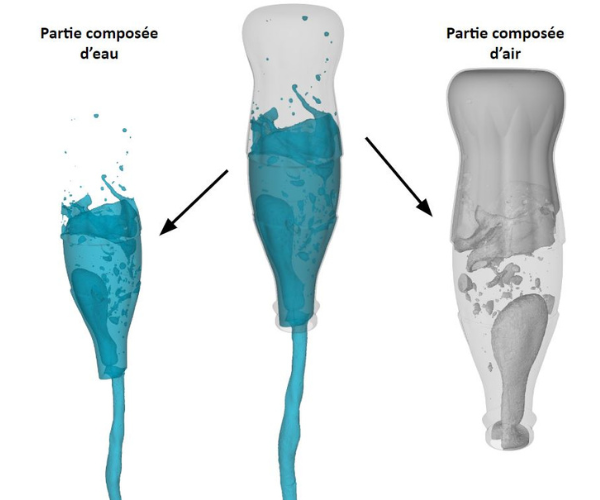 Structures 3D eau et air contenus dans la bouteille.png